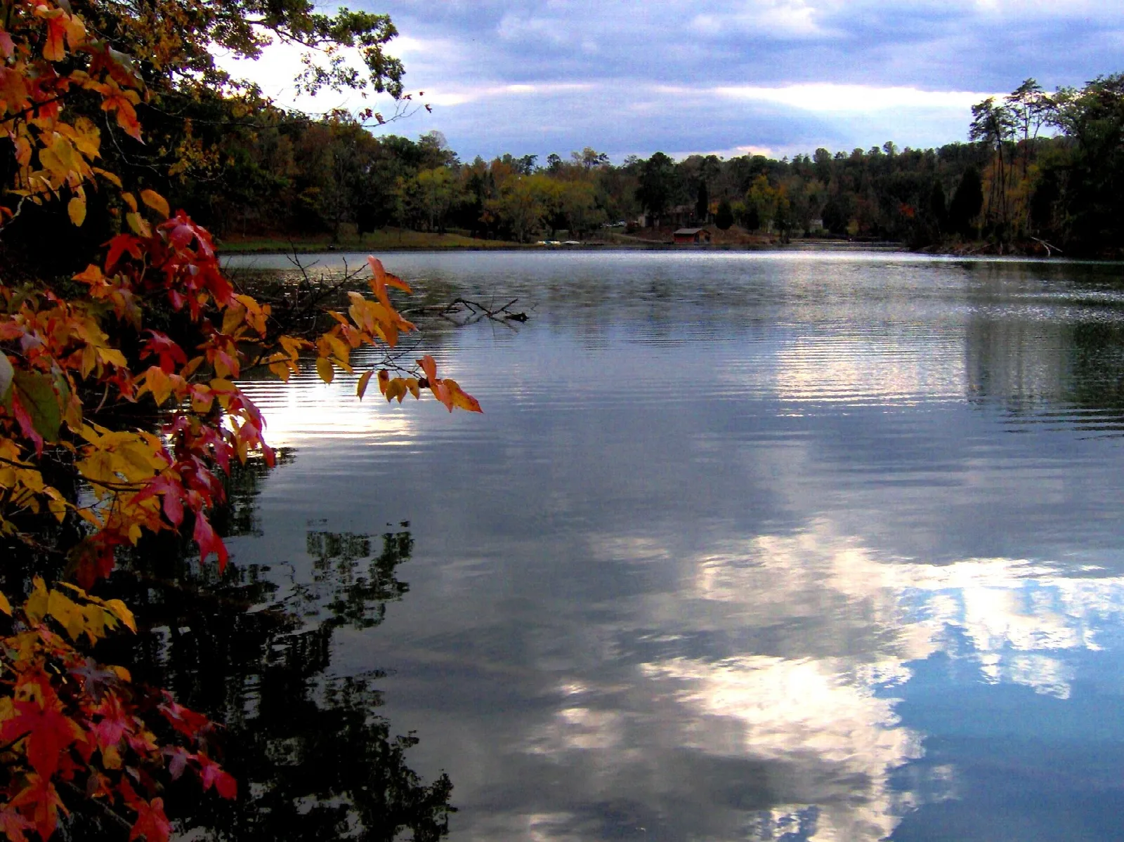 Still lake framed by red autumn leaves and forested shore