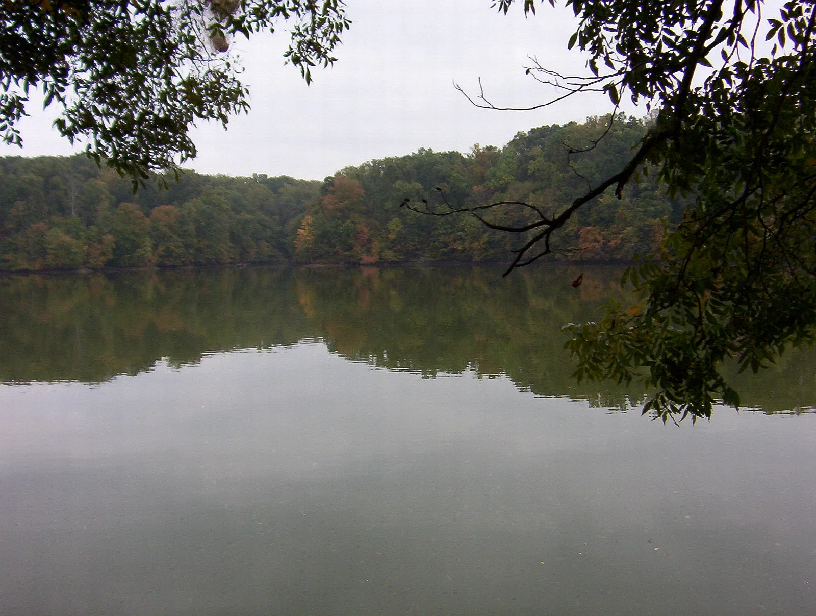 Calm lake bordered by autumn trees reflected in the water