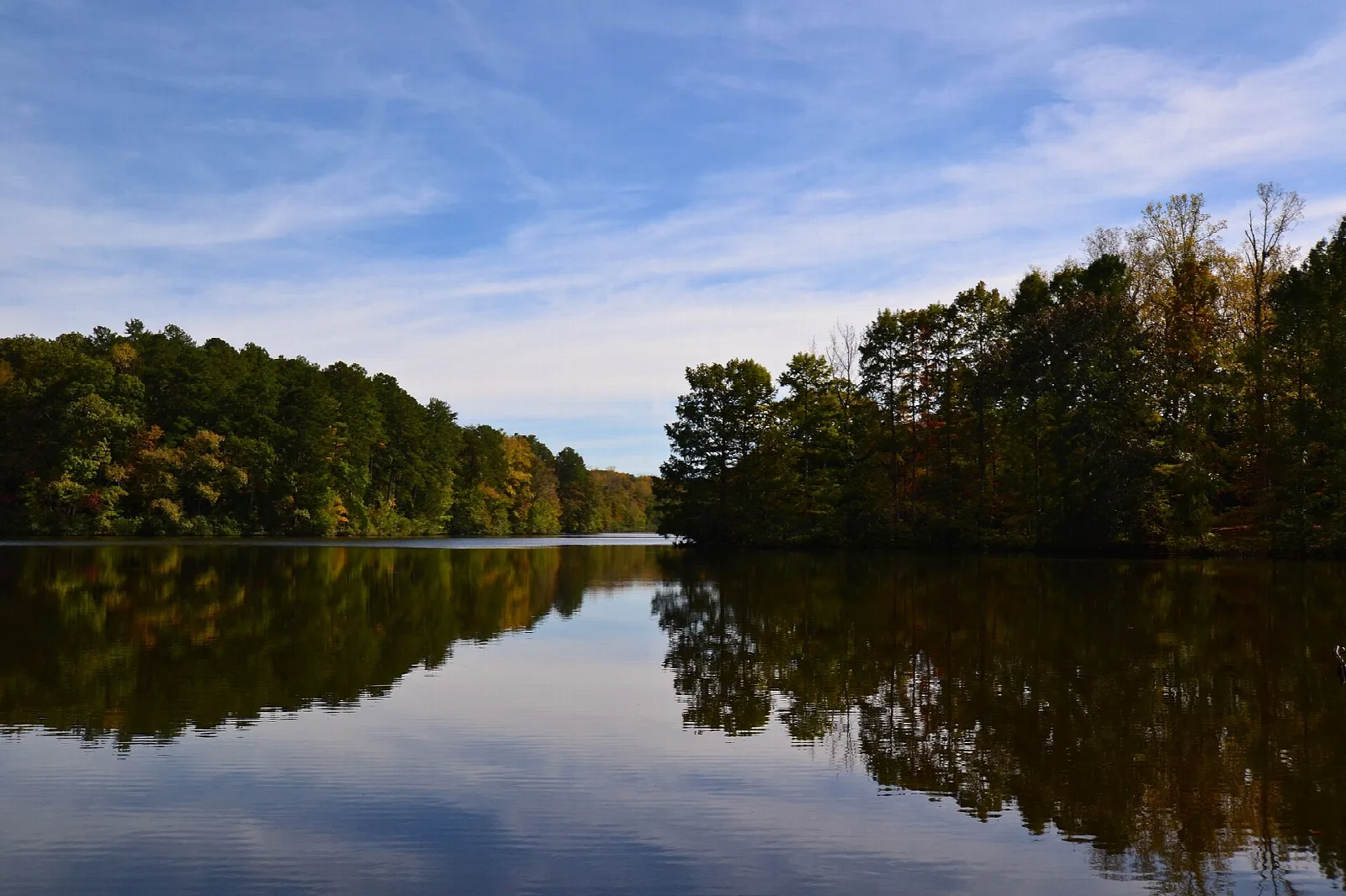 Calm lake with forested shoreline under blue sky