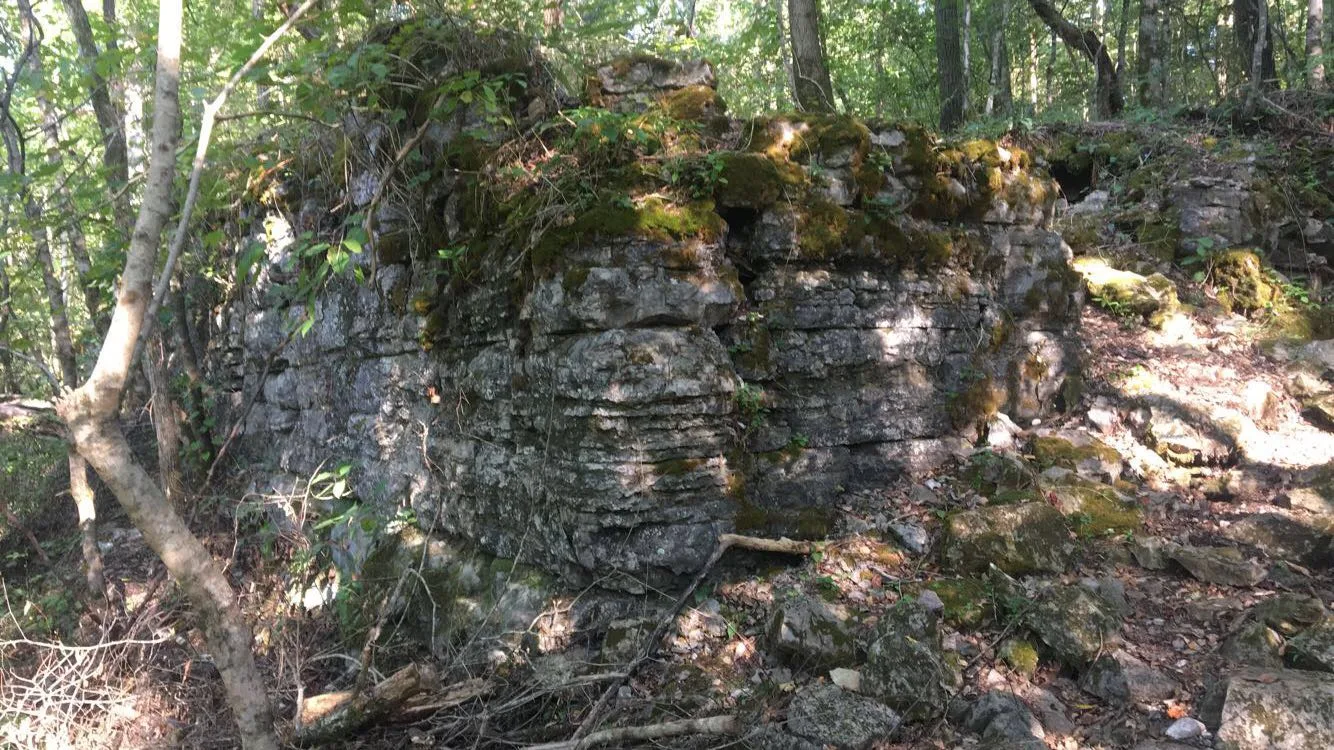 Moss-covered stone wall remains in the woods