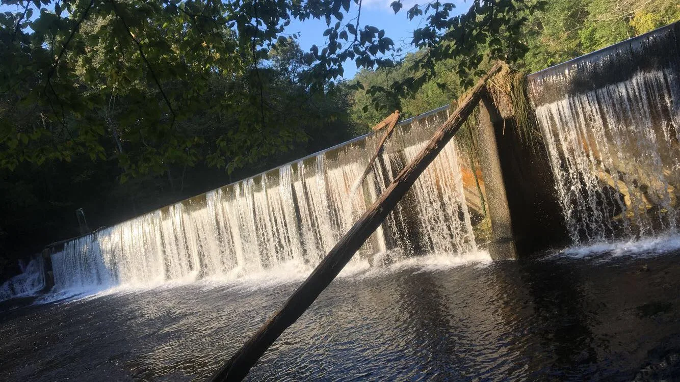 Water pouring over a long weir-like falls in green woods