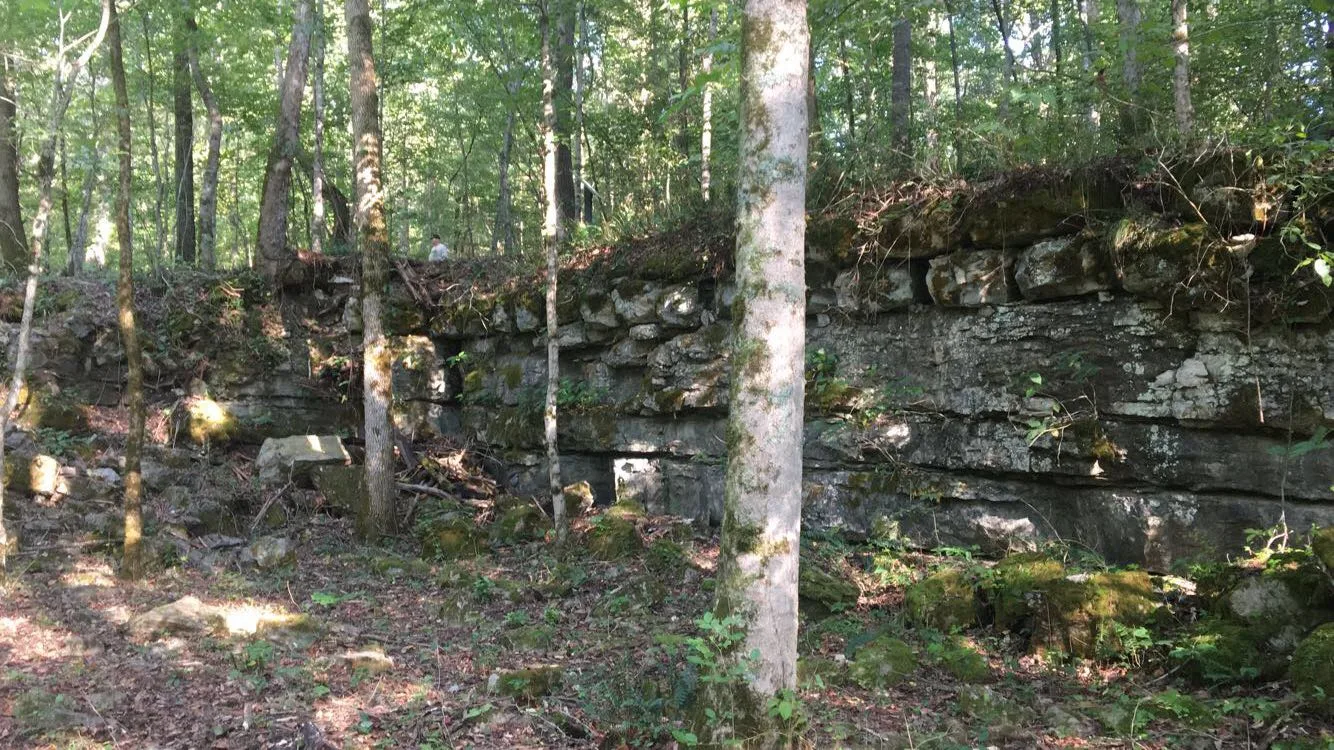 Old stacked stone wall in a forest