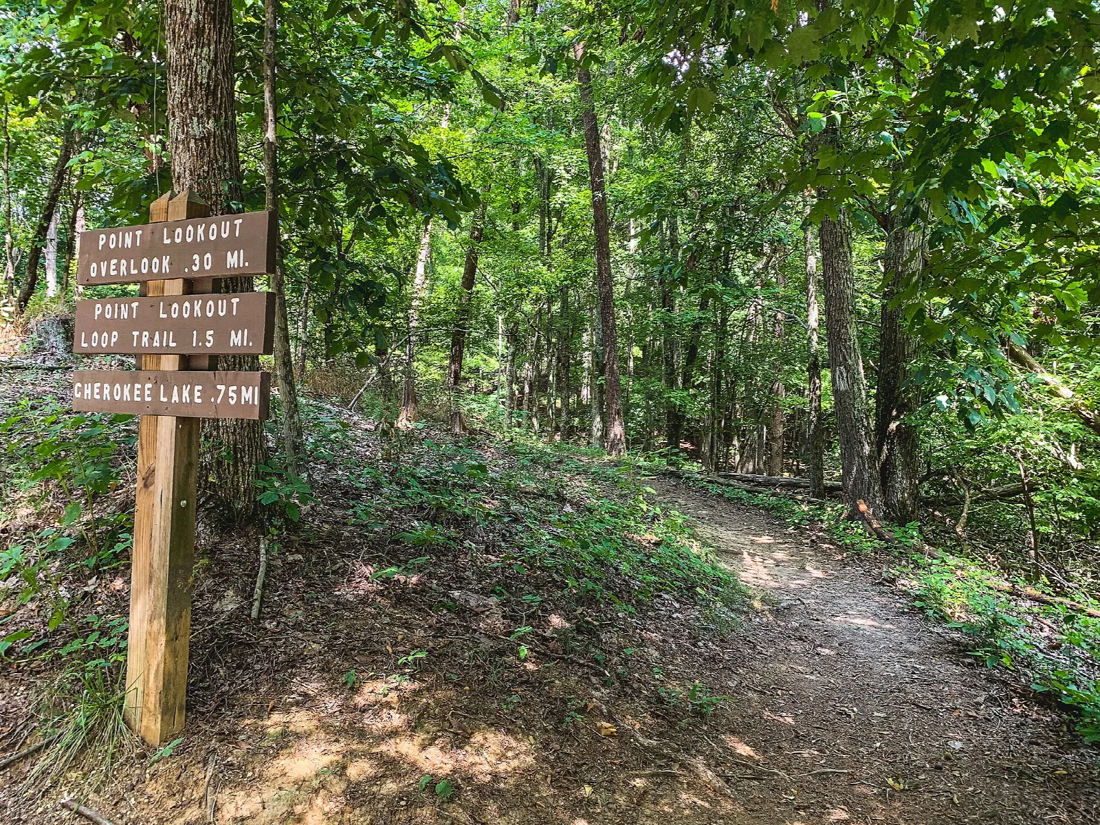 Dirt hiking trail through woods with a signpost