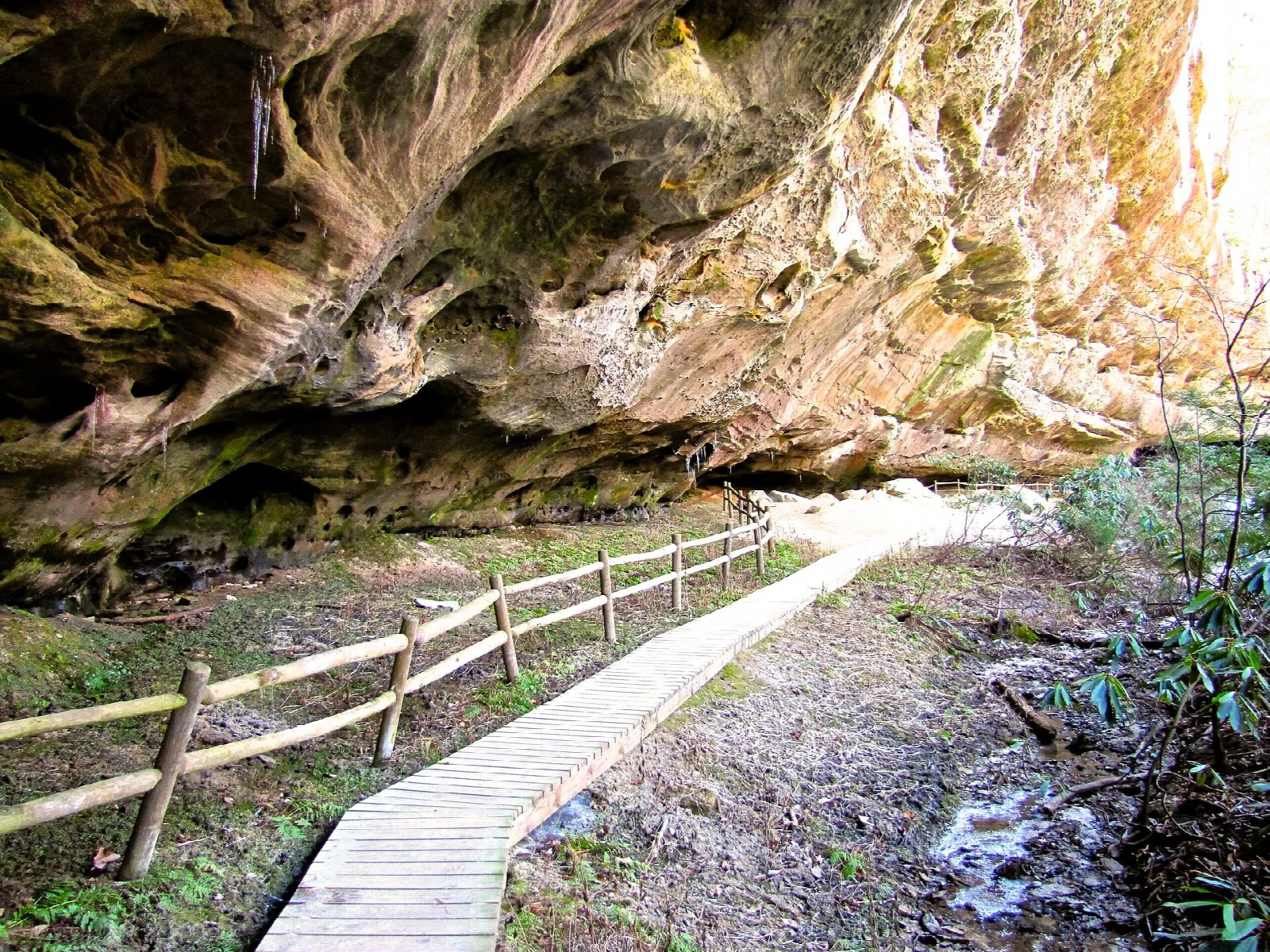 Wooden boardwalk beneath a large rock overhang