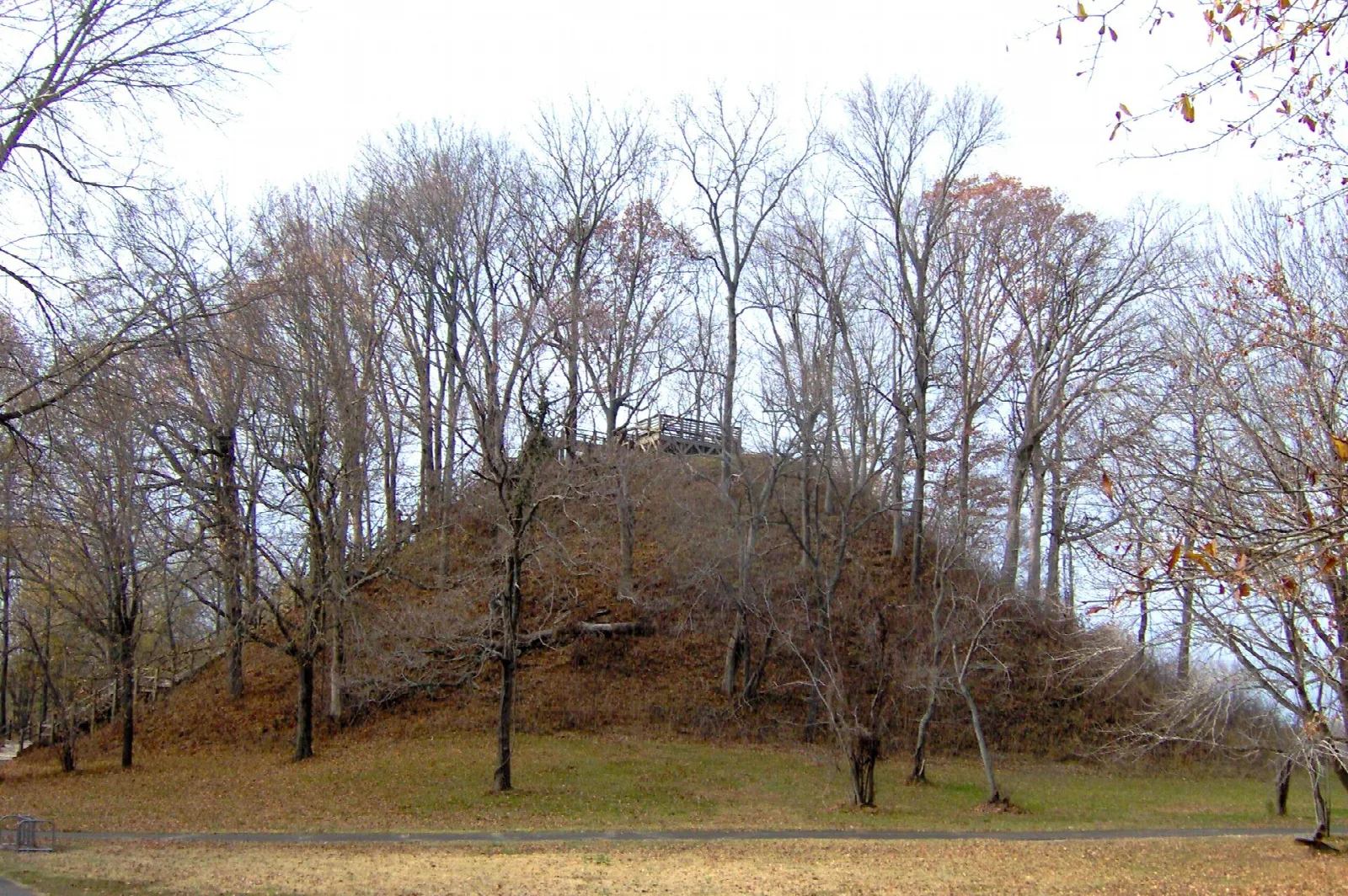 Grass-covered earthen mound ringed by bare trees