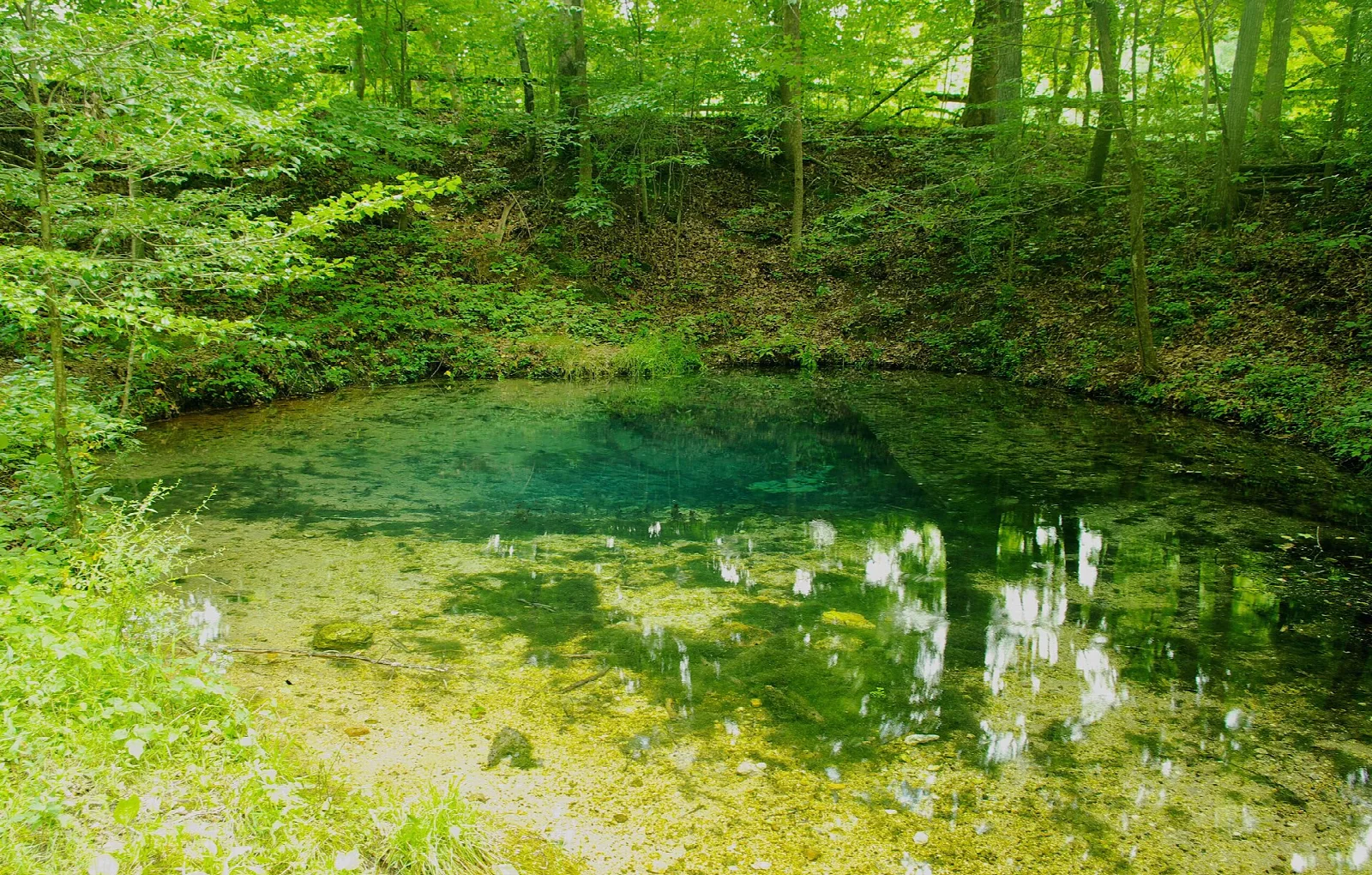 Clear blue-green spring pool framed by green trees and a mossy bank