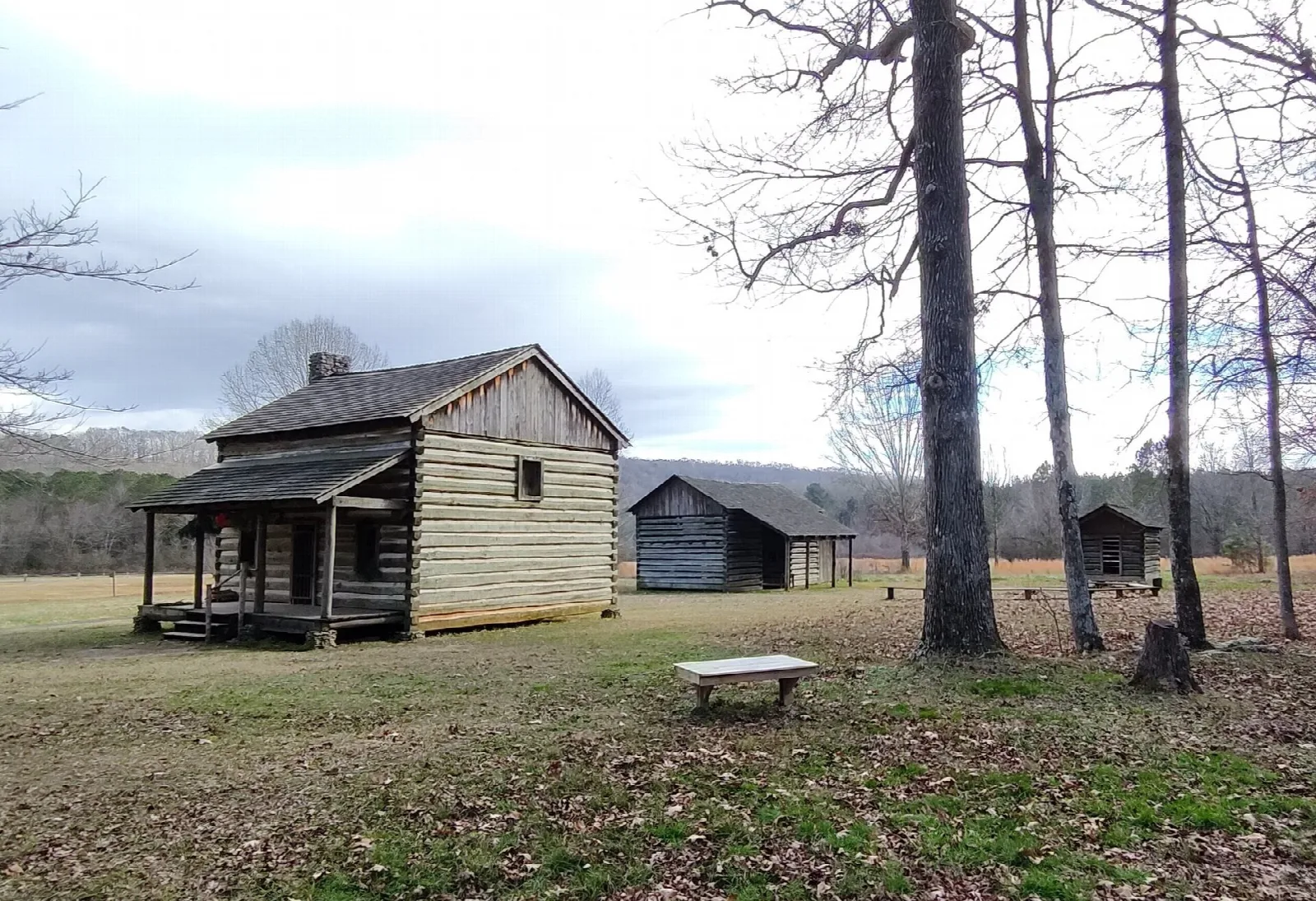 Log house and outbuildings in an open field with bare trees