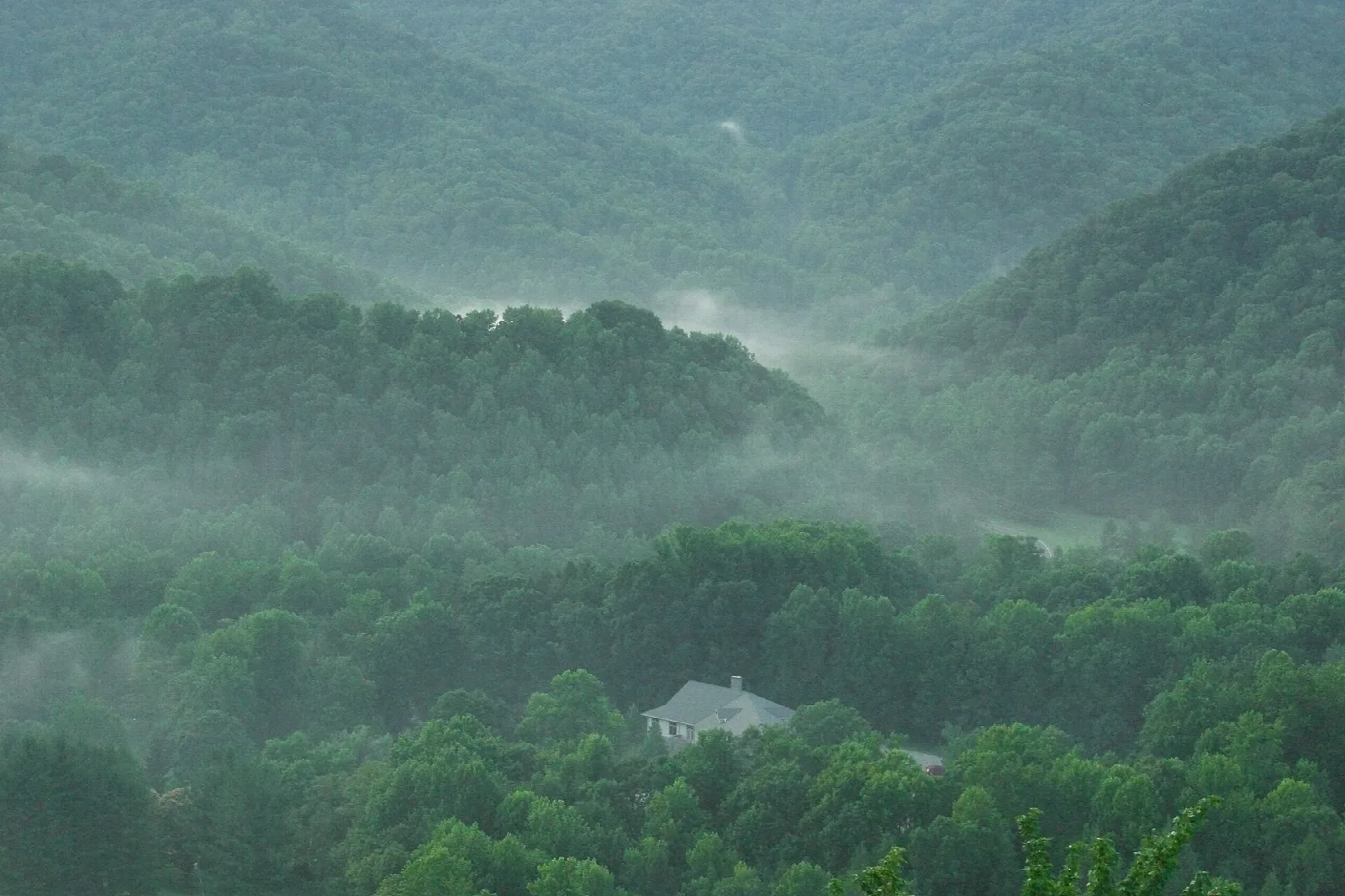 Misty forested valleys with a single house below