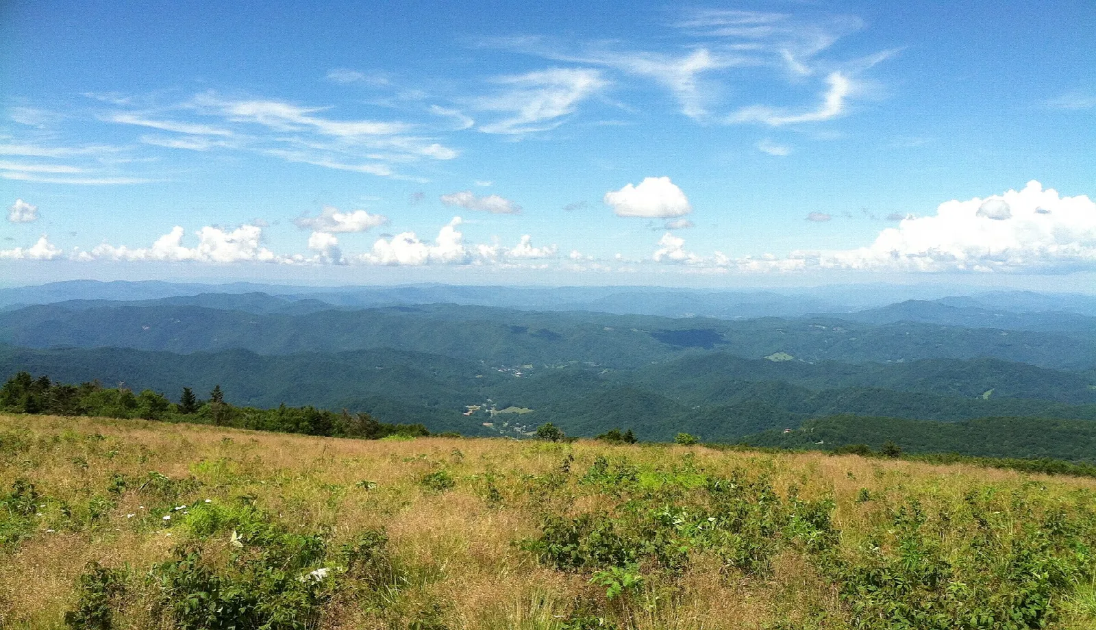 Grassy mountain meadow looking out over blue ridges under a bright sky