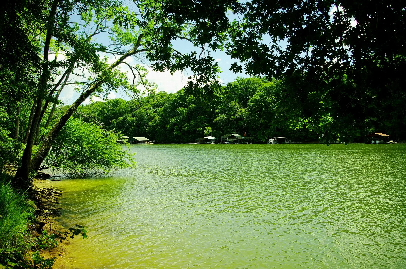River with green banks and trees seen from the trail