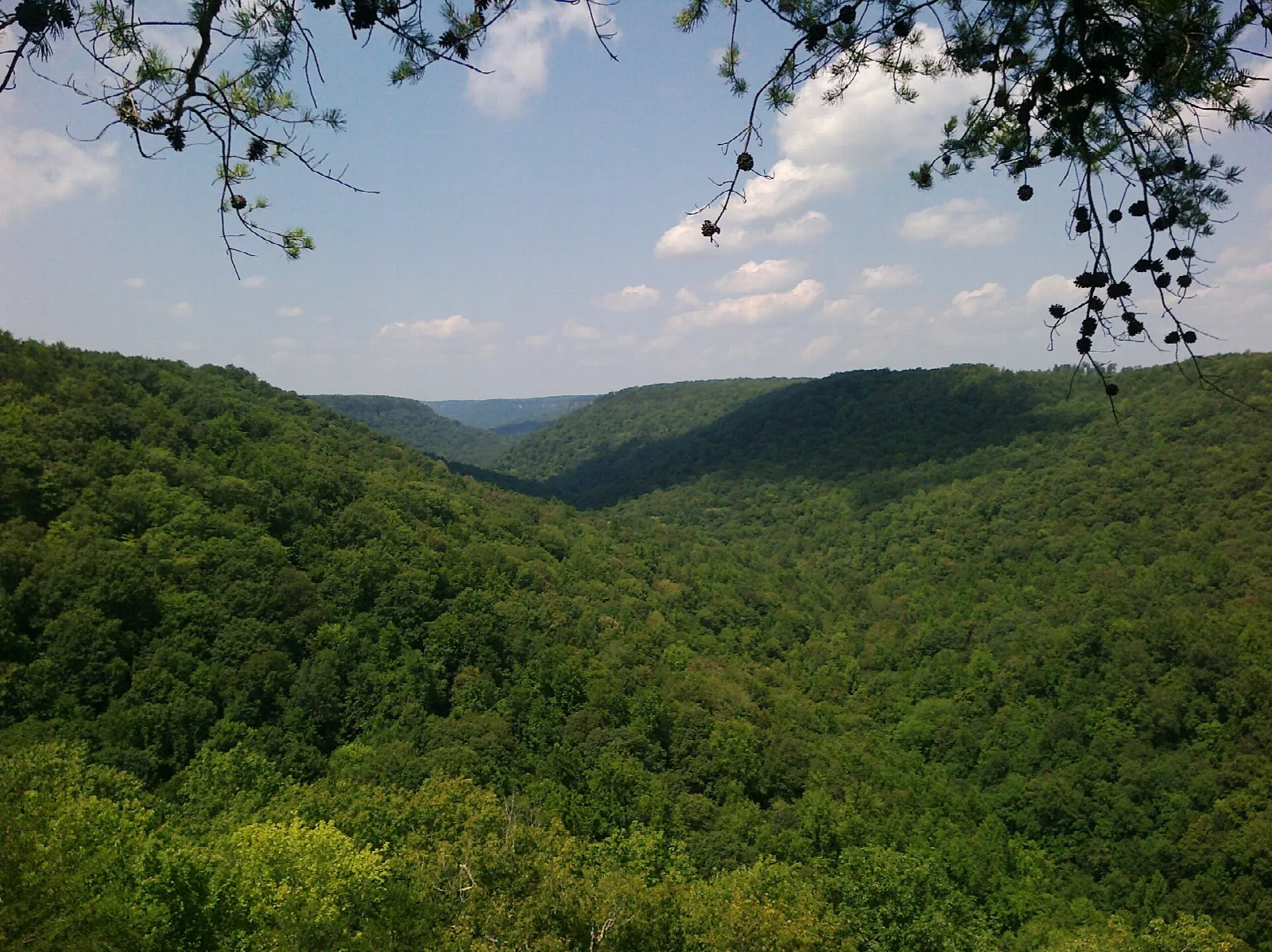 Wide green forested gorge under a blue sky with clouds