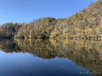 Standing Stone State Park