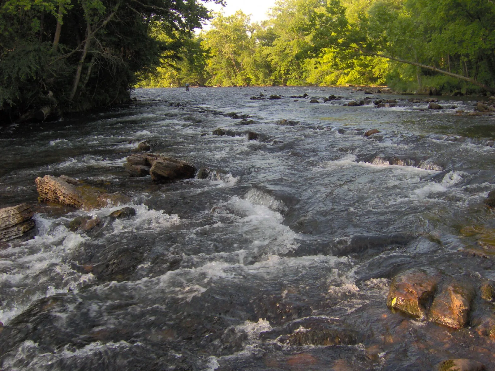 River running over rocky shoals between green banks
