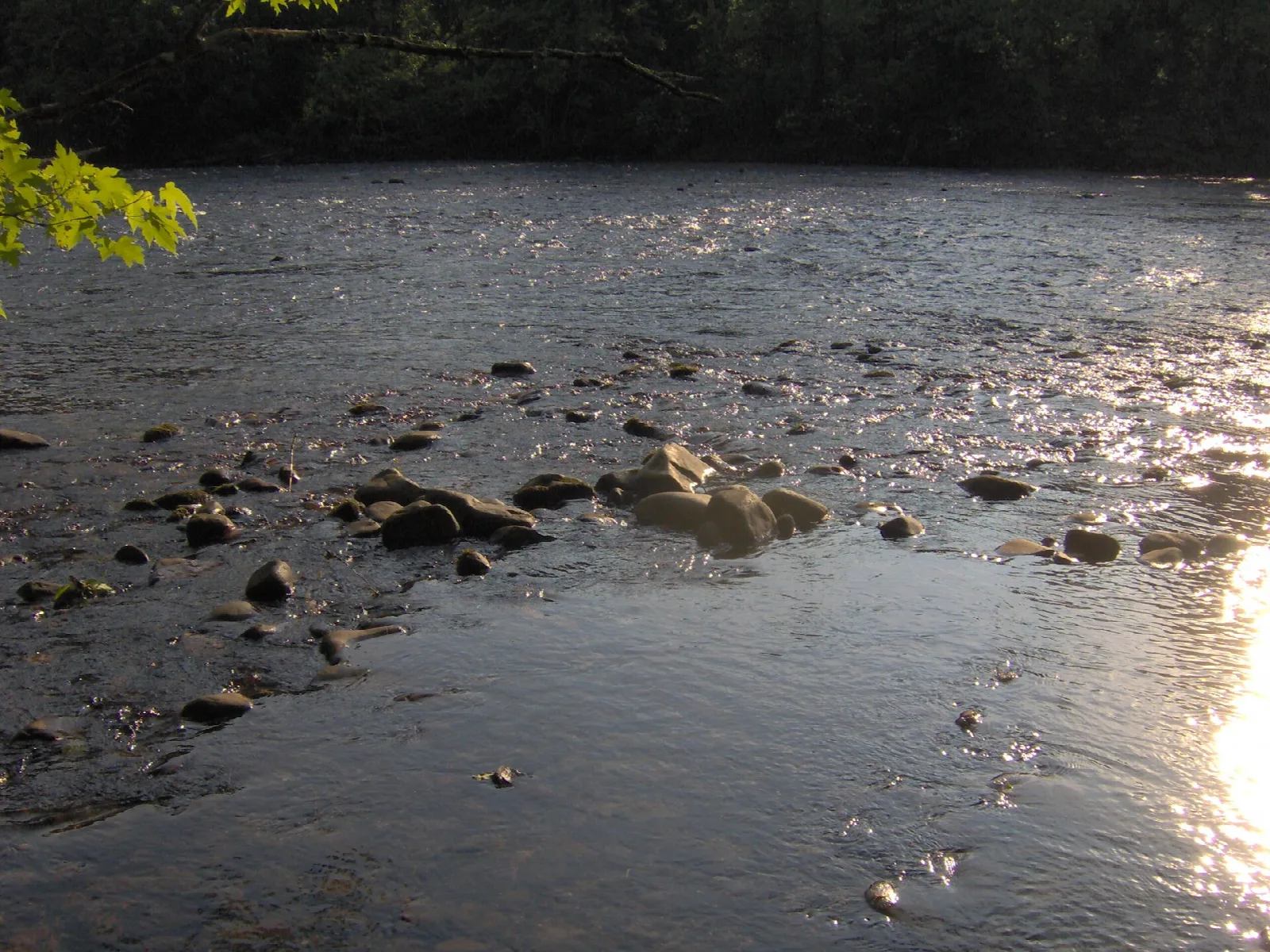 Shallow rocky river in evening light