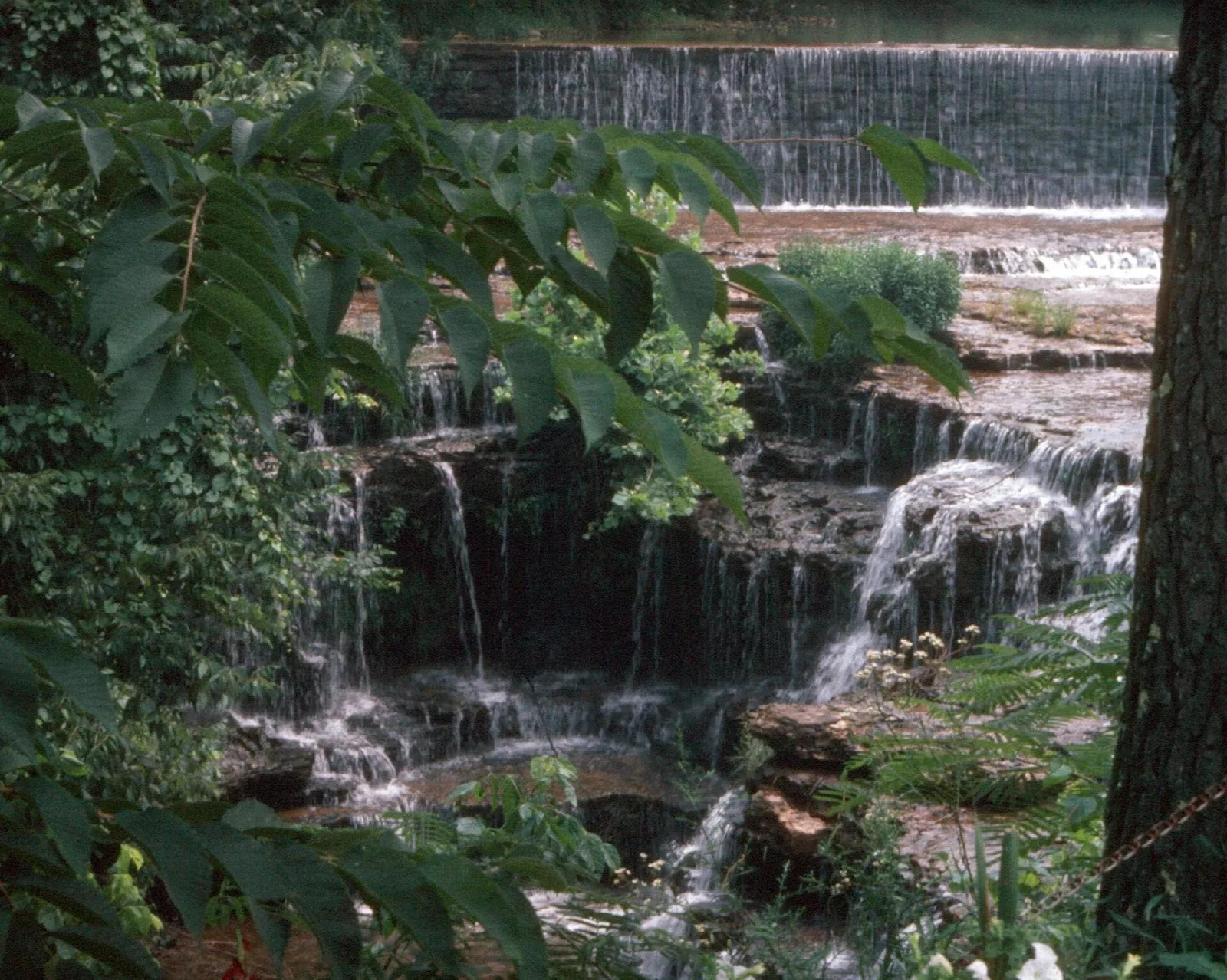 Cascading waterfall over stepped rock ledges framed by leaves