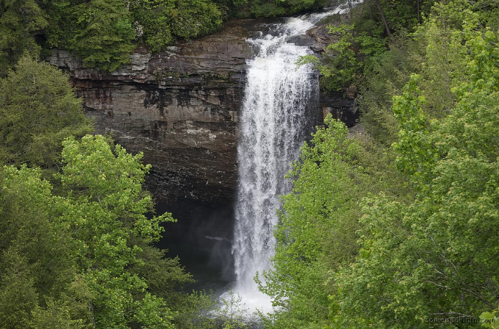Tall waterfall dropping over a rock cliff between green trees