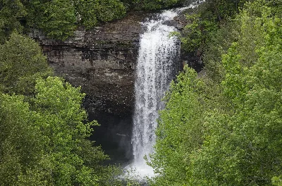 Fiery Gizzard State Park
