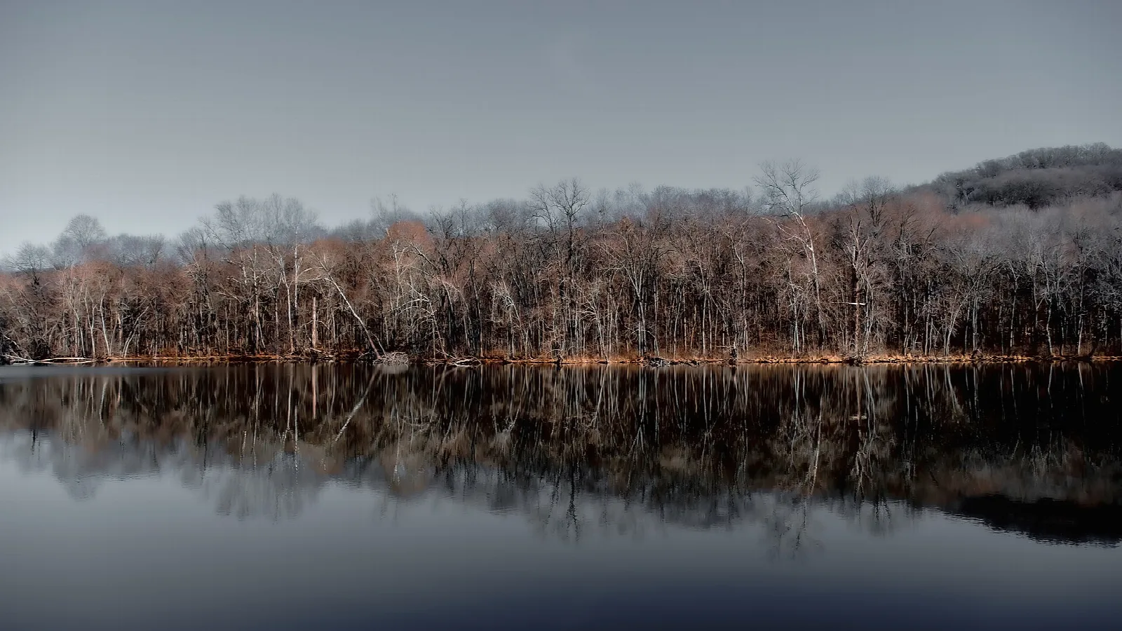 Bare trees on the far shore reflected in still lake water