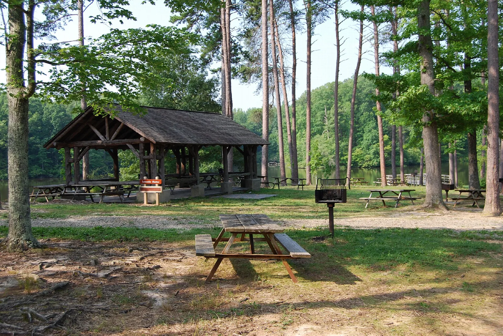 Open-sided picnic shelter with tables among tall pines