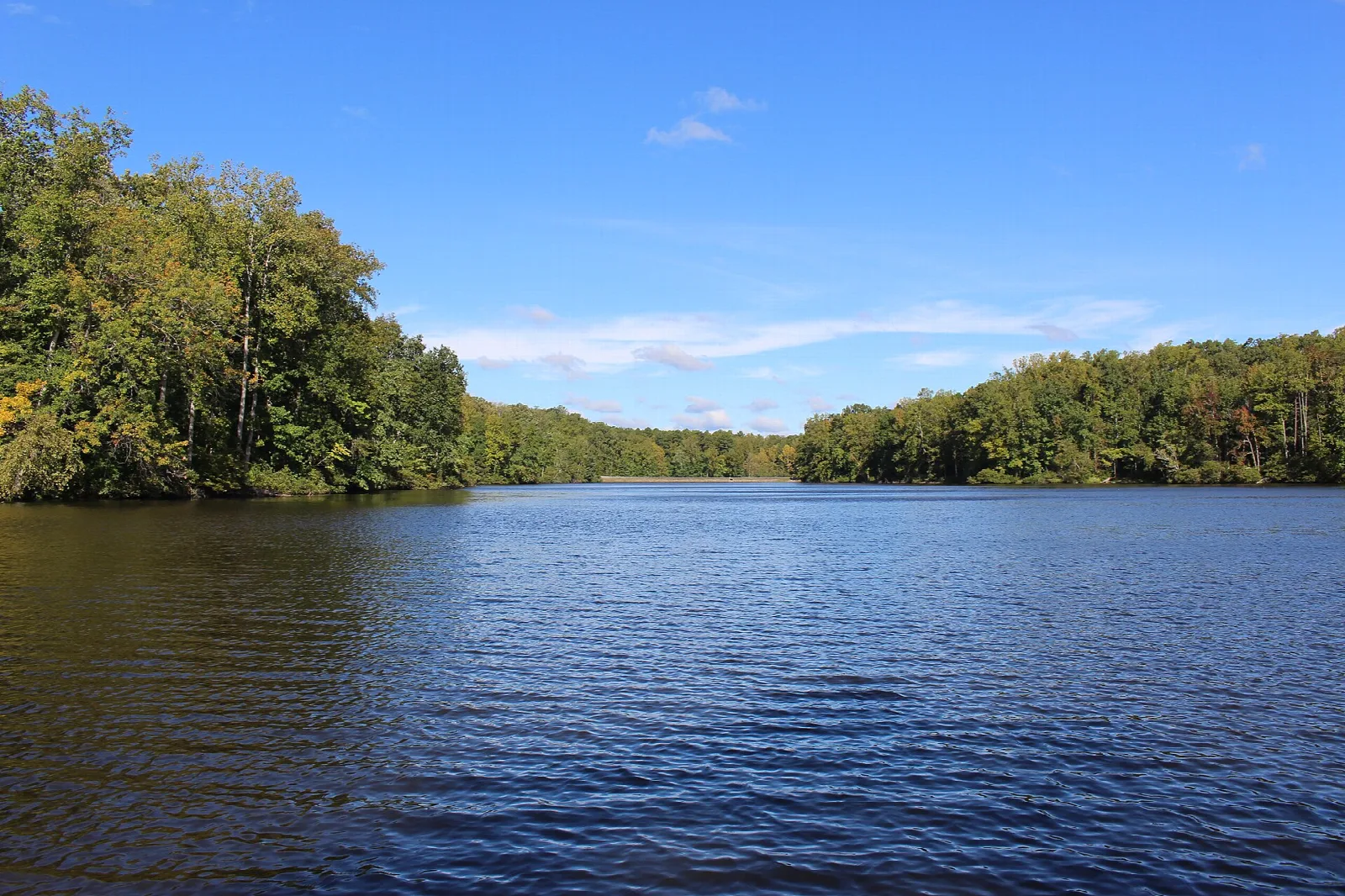 Blue lake under a clear sky with tree-covered shoreline across the water