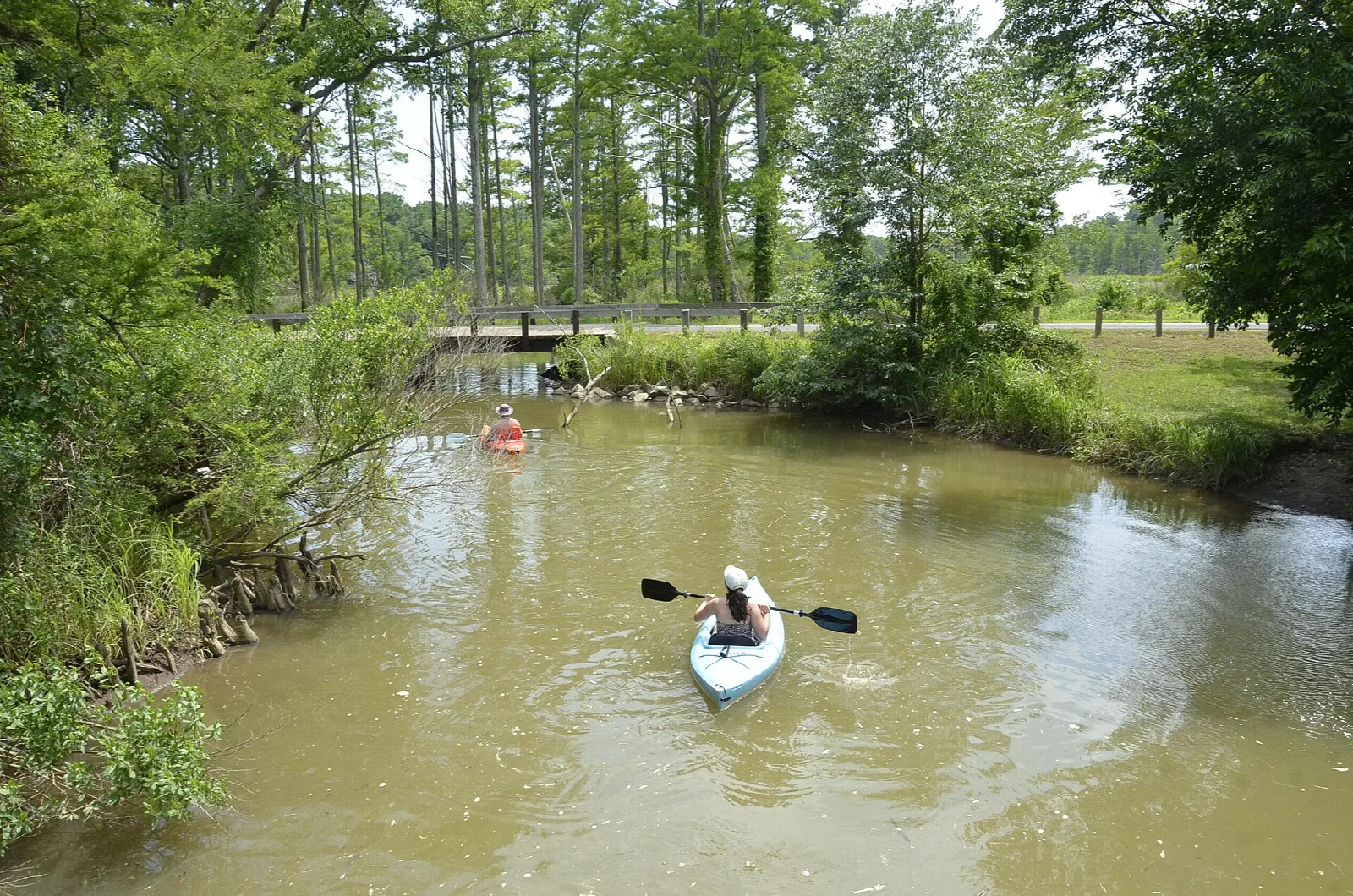 Kayaker paddling a narrow tree-lined creek toward a wooden bridge