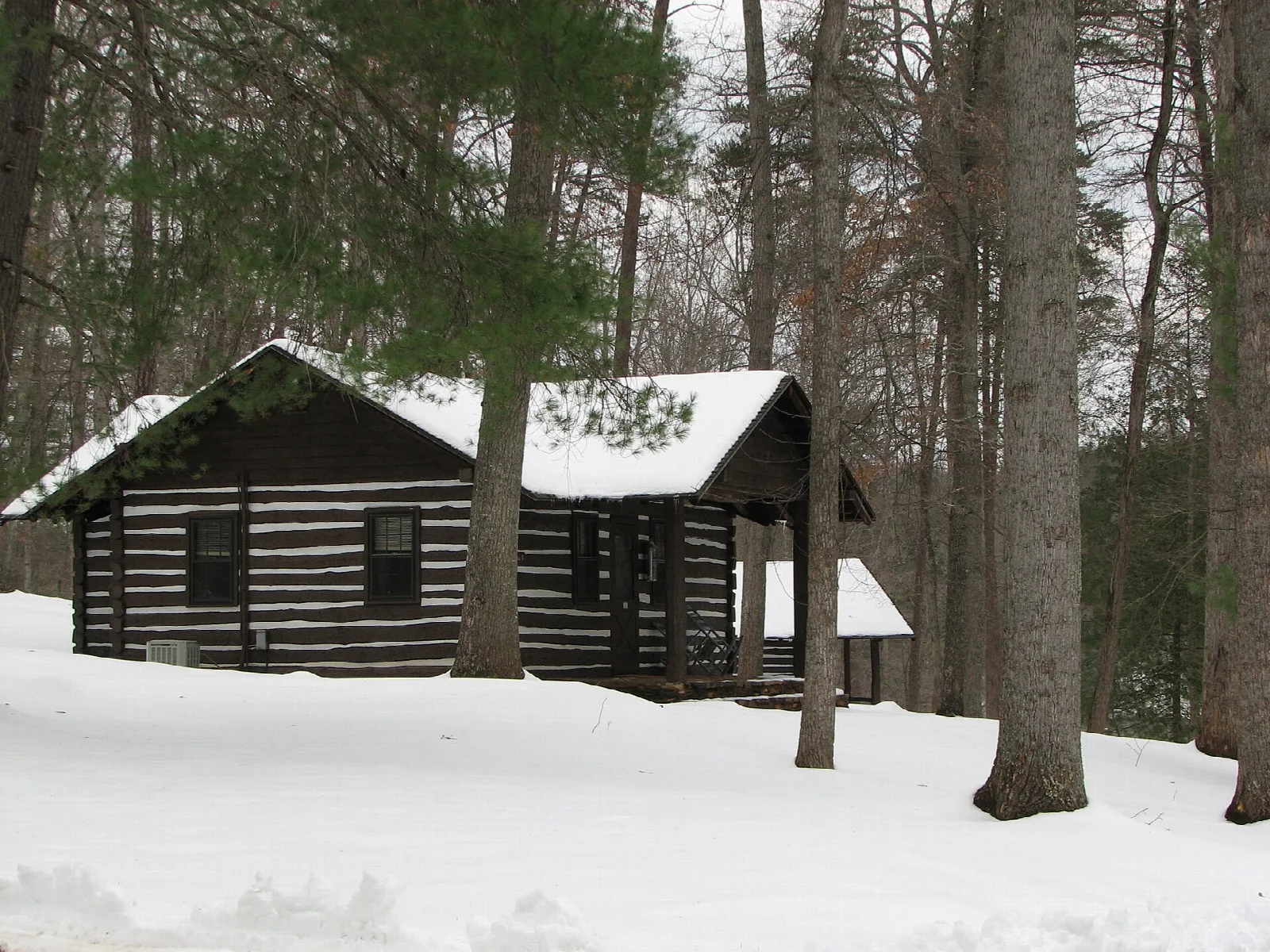 Log cabin among tall trees with snow on the ground and roof