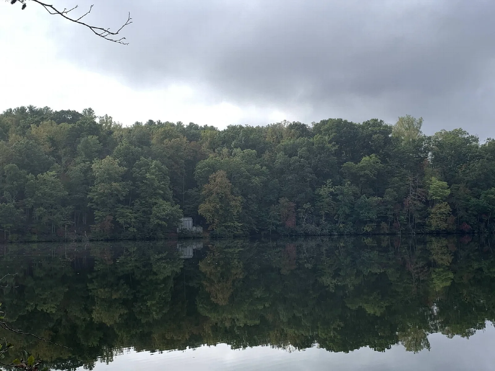 Still lake with a forested shoreline under a cloudy sky