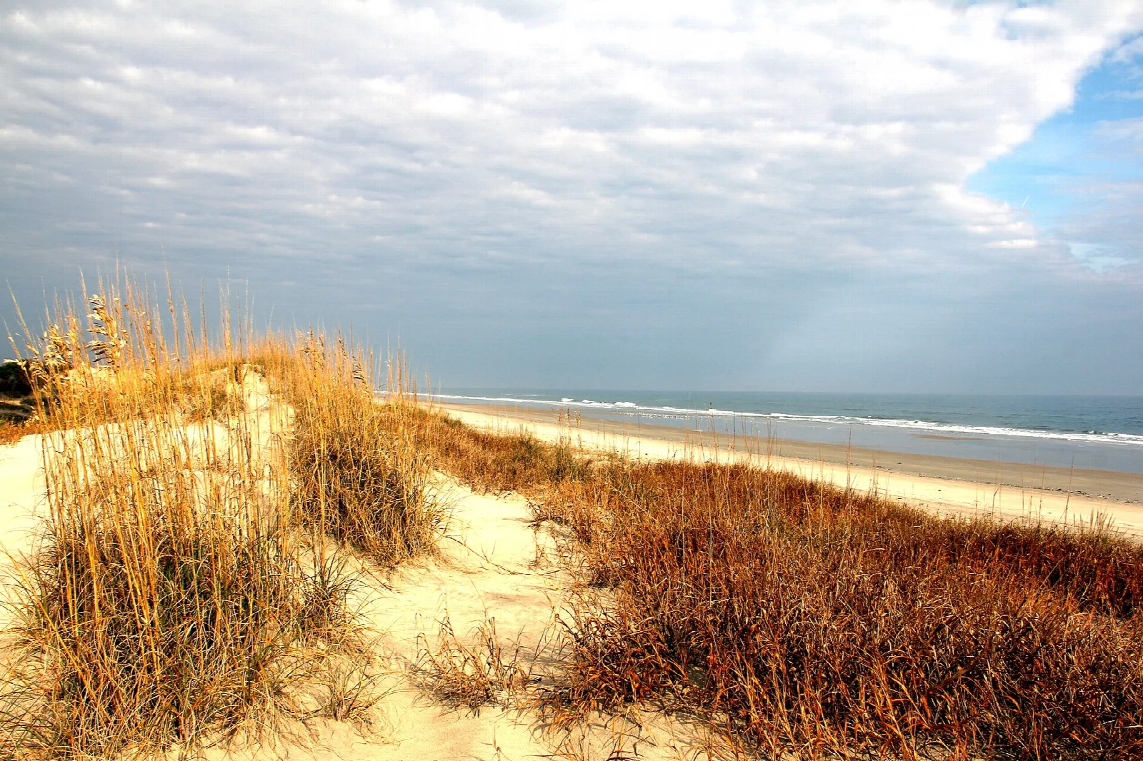 Sand dunes with golden grasses leading to a beach and ocean under clouds