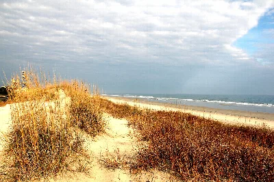 False Cape State Park