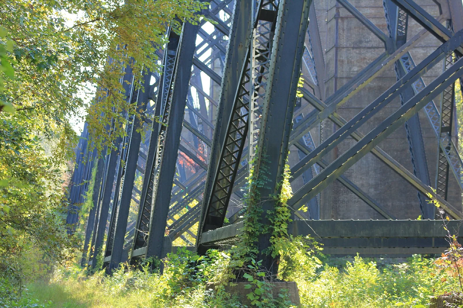 Dark iron trellis supports at the base of the bridge among green leaves