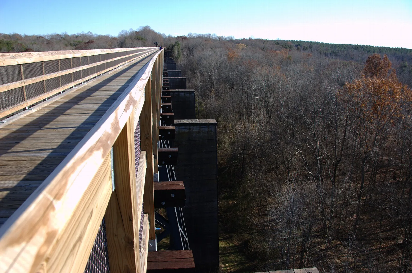 Wooden bridge deck and railing above bare autumn treetops
