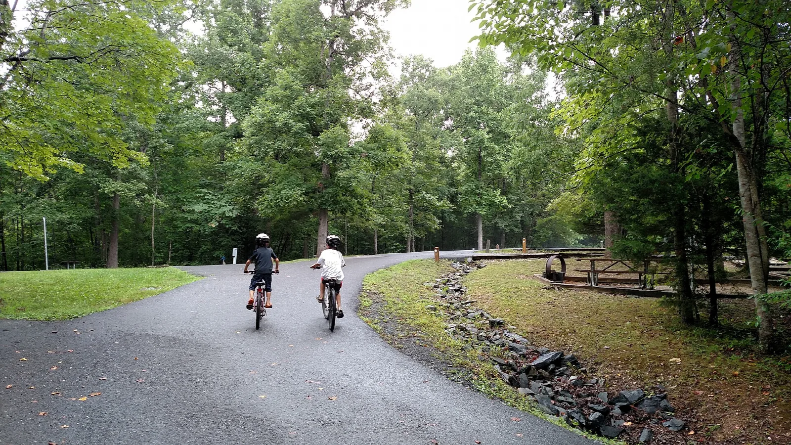 Two cyclists on a paved park road beside a lawn and trees