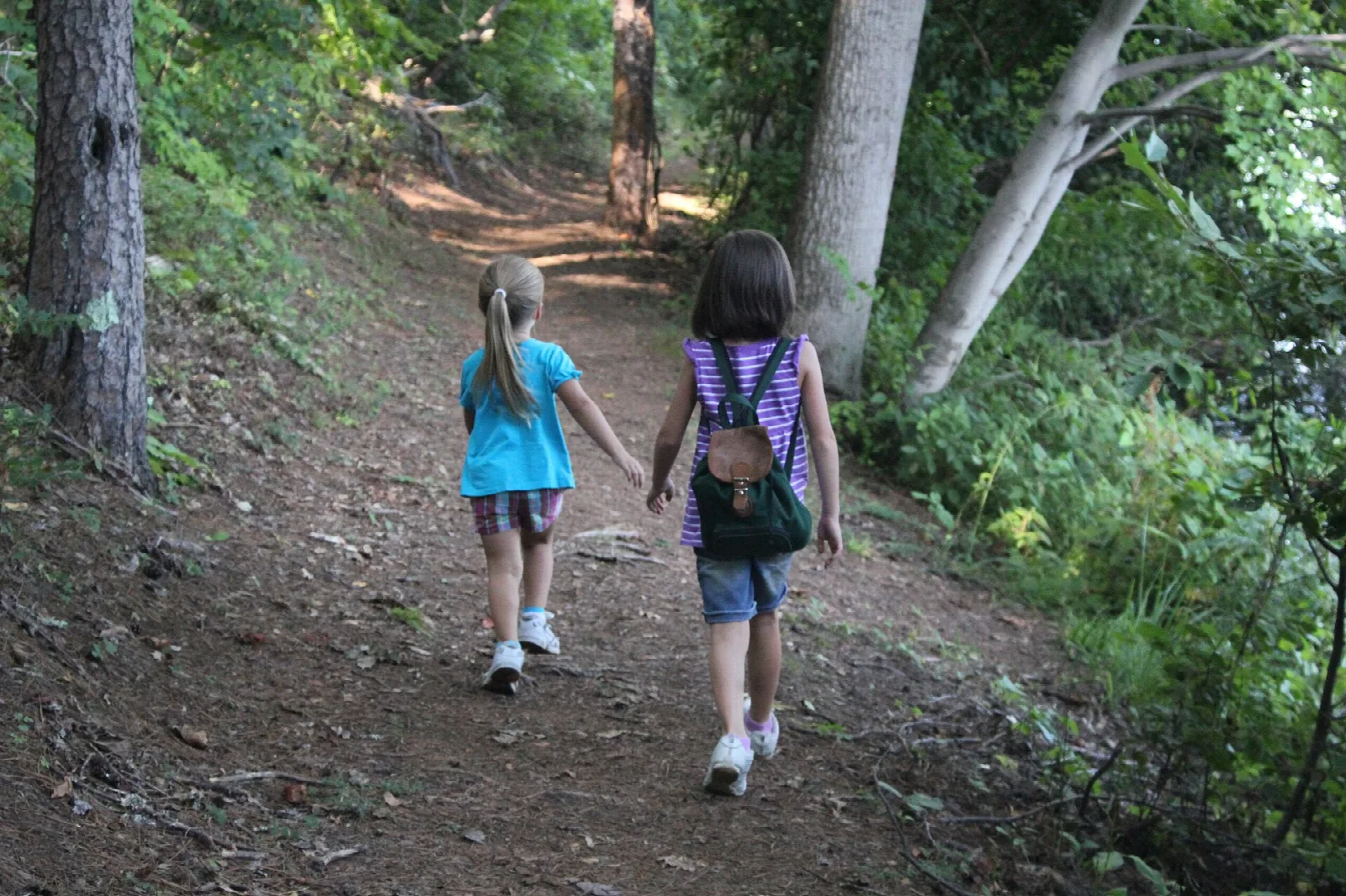Two children walking along a wooded dirt trail