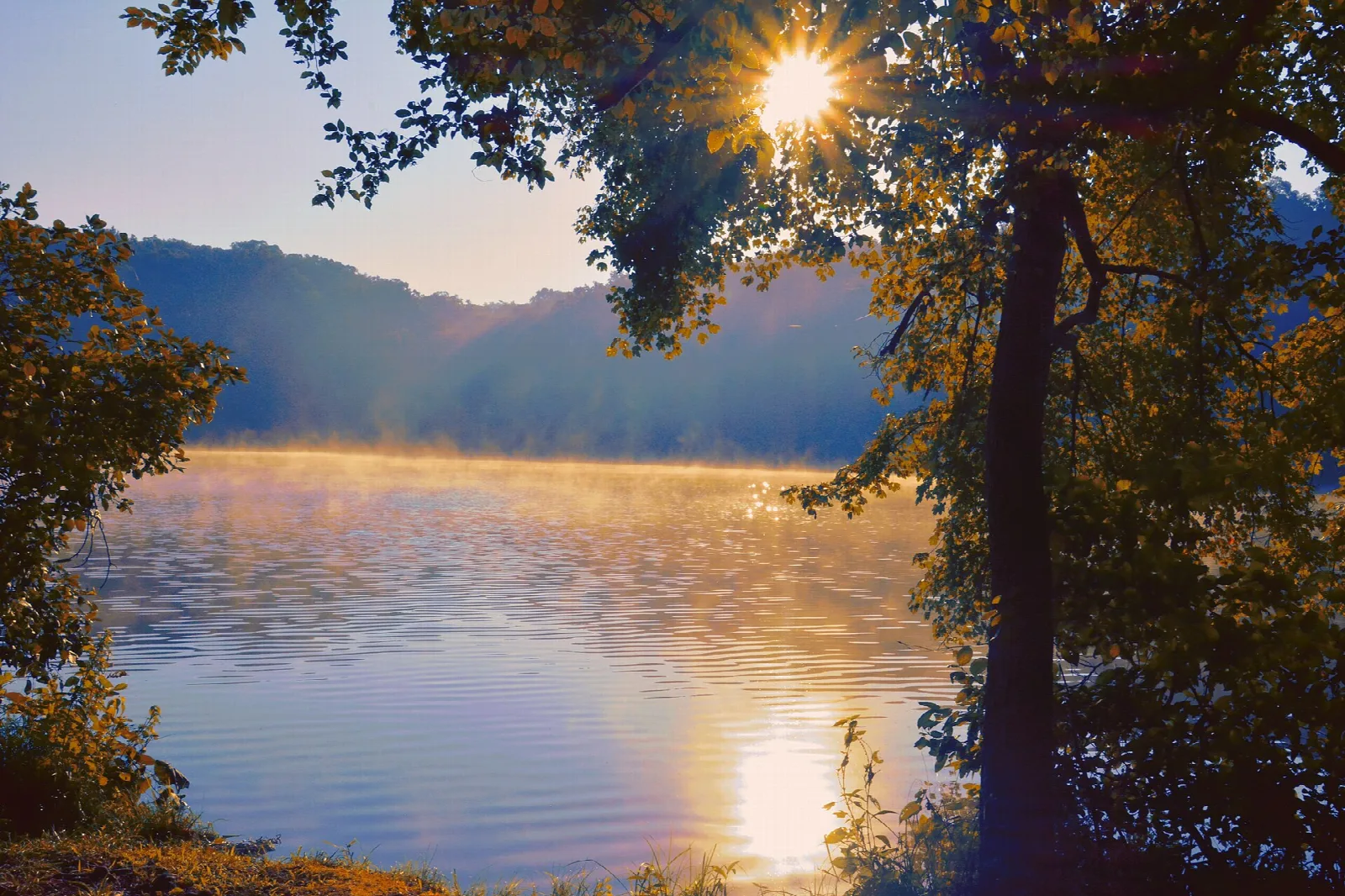 Misty lake at sunrise framed by tree branches with hills beyond