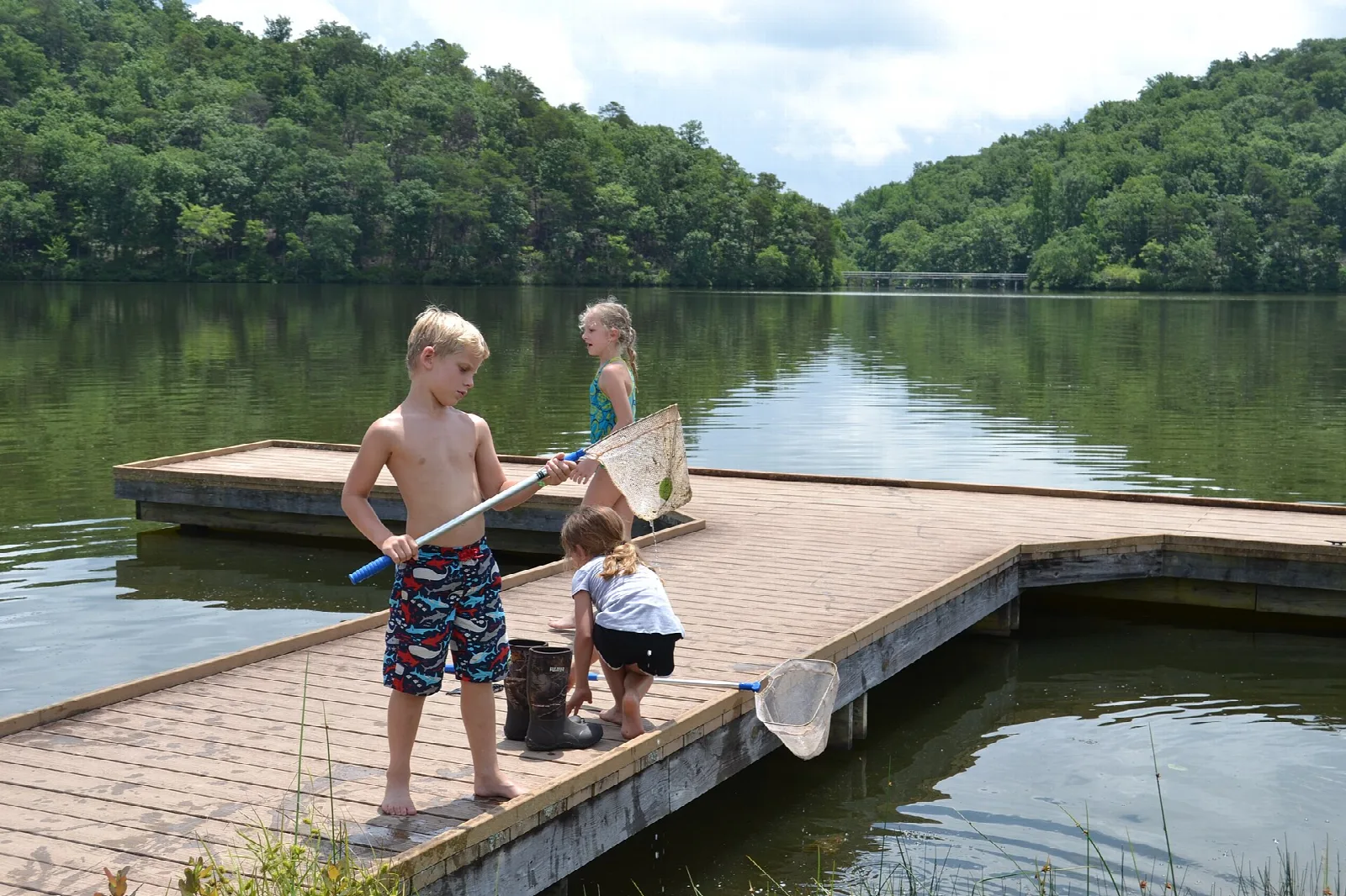 Wooden dock on a green lake with children holding nets