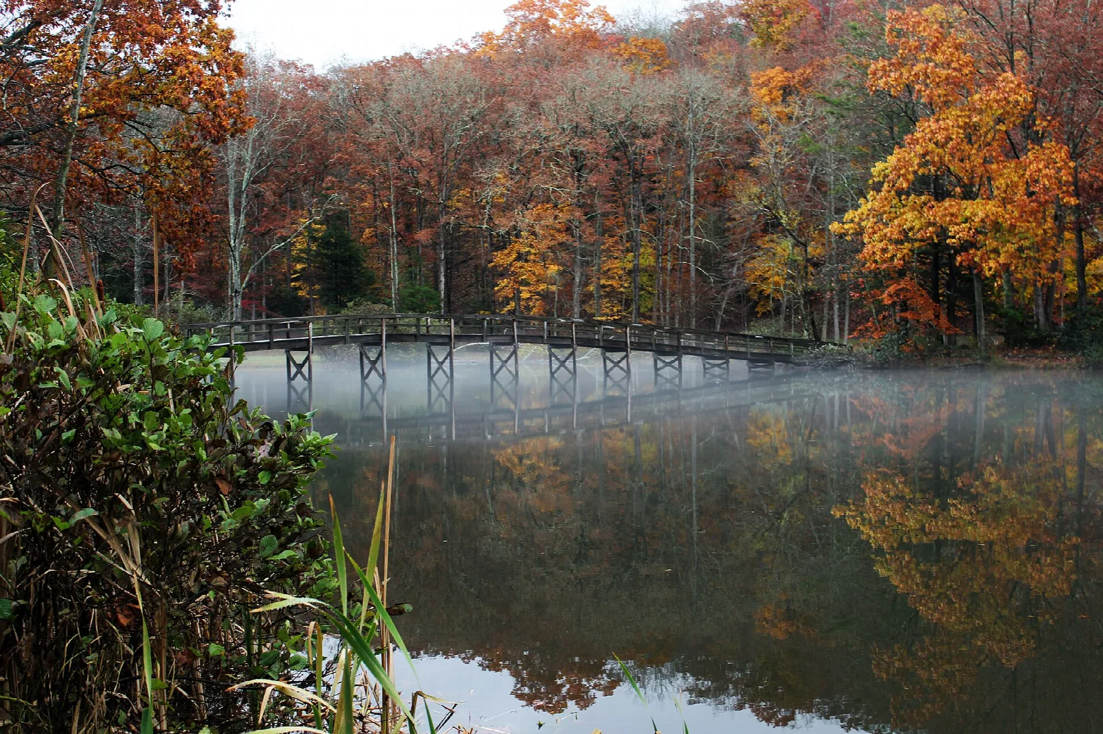 Wooden footbridge across foggy water with orange autumn foliage