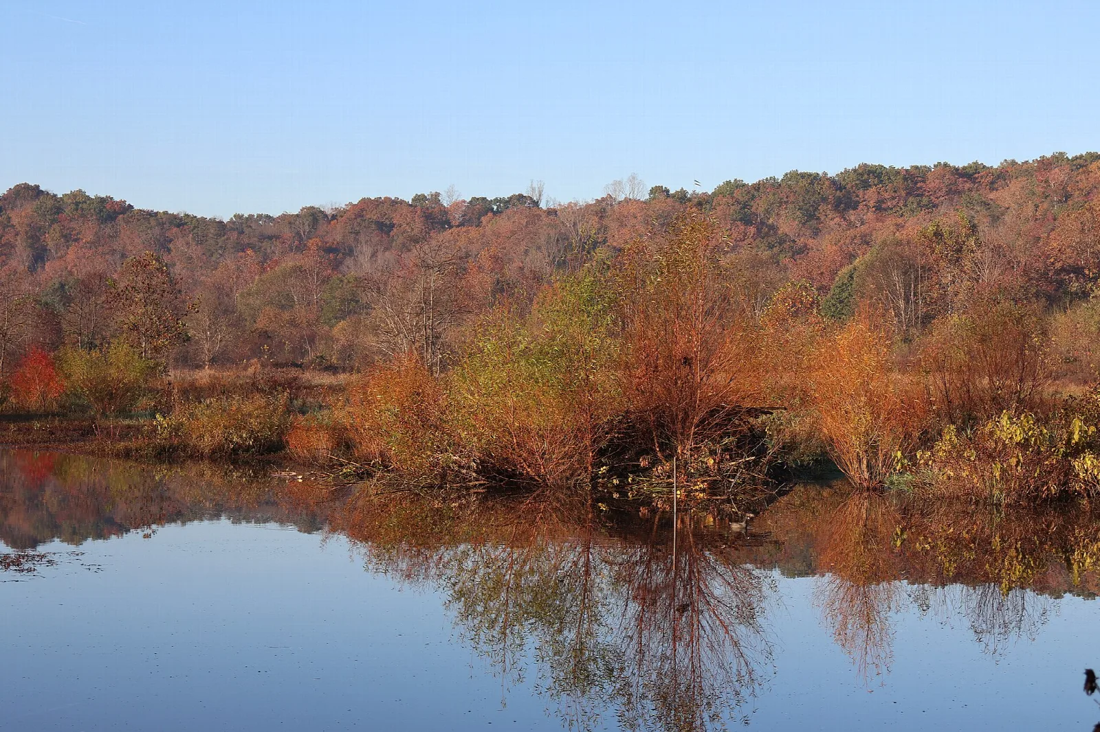 Calm river with red and orange autumn hills across the water