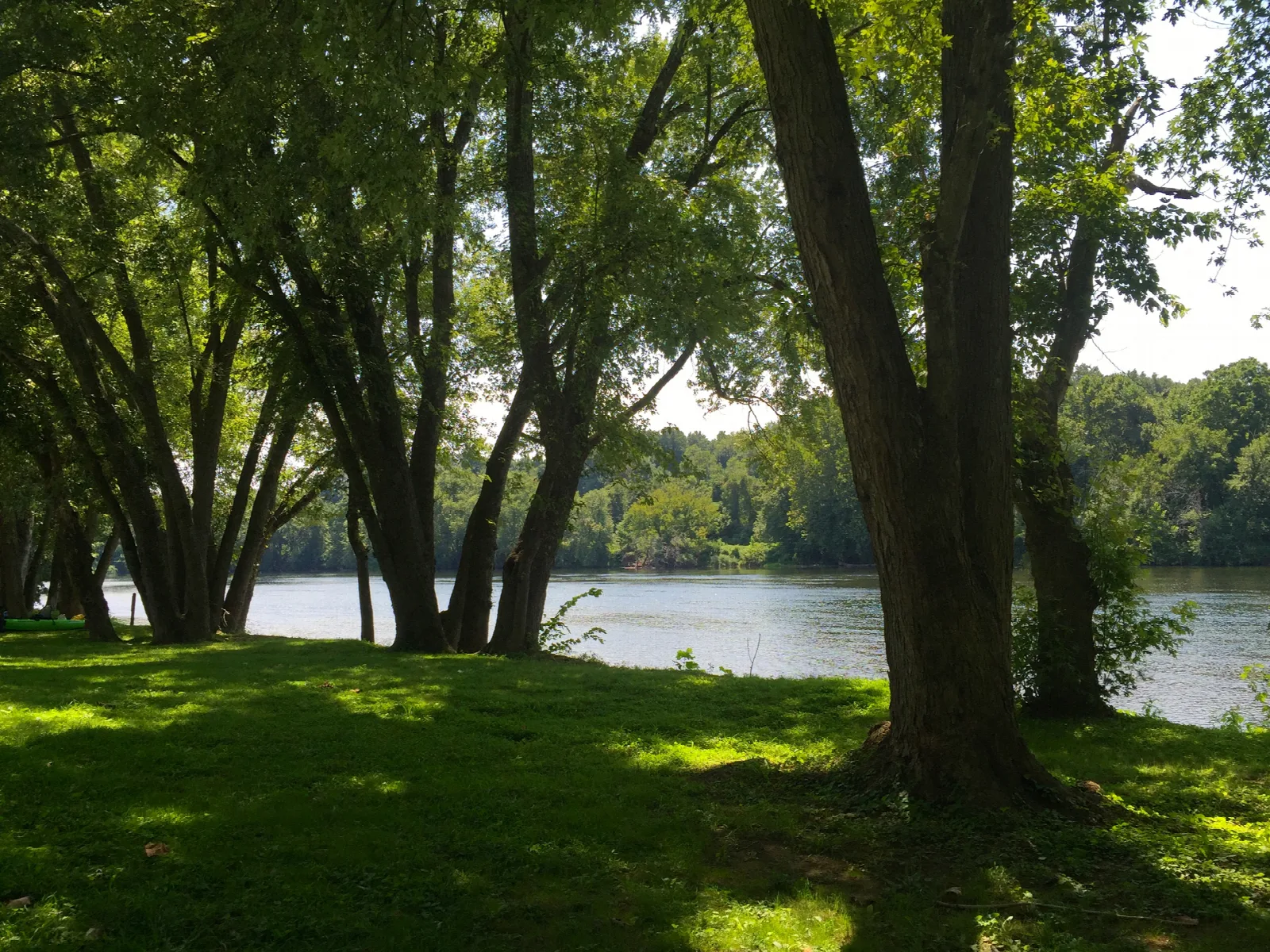 Grassy riverfront picnic area under shade trees beside the river