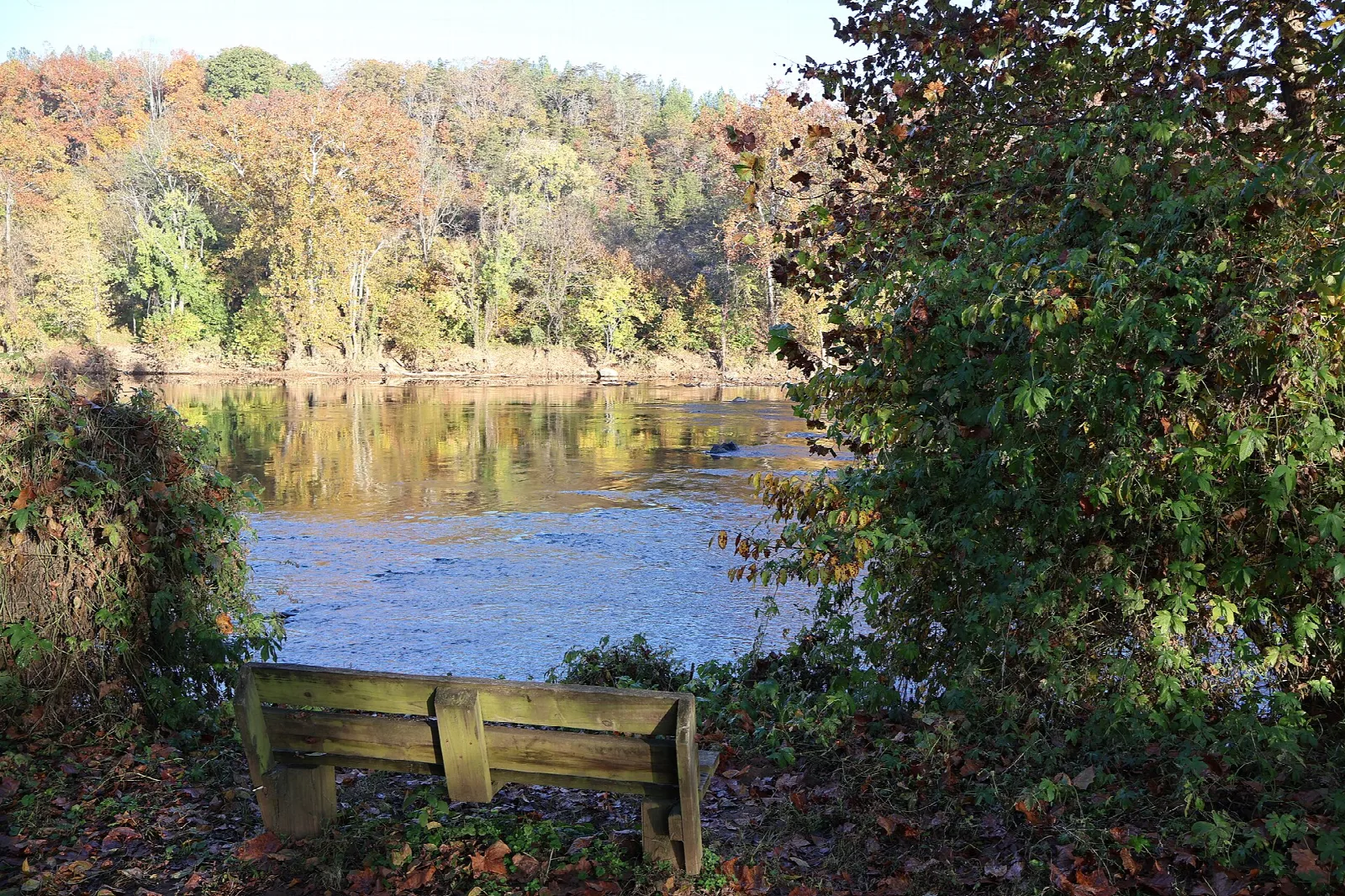 Wooden bench beside the river with autumn trees on the far bank