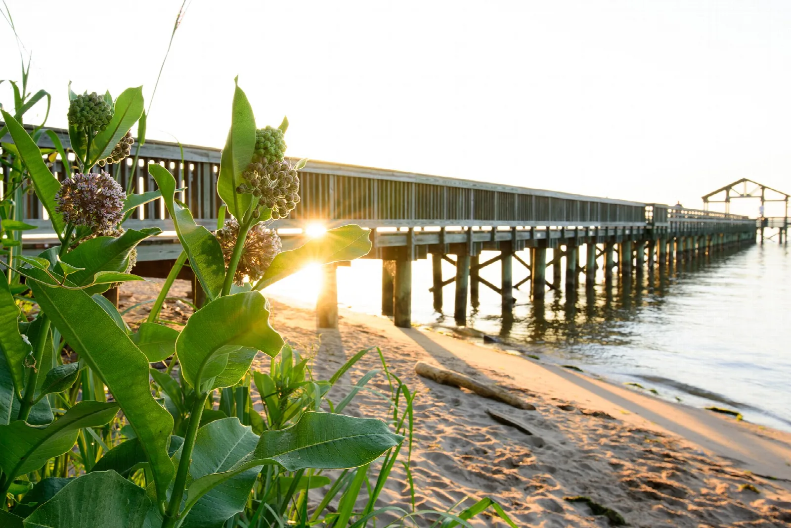 Wooden pier with sunlight at sunrise and sand beach in the foreground