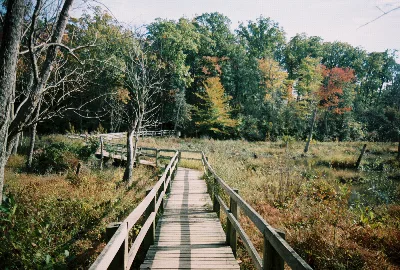 Mason Neck State Park