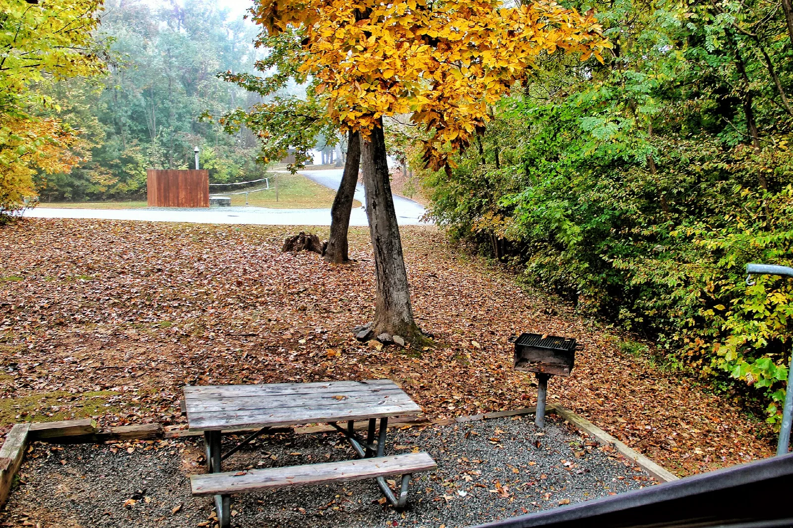 Picnic table and grill on a leafy site with autumn trees