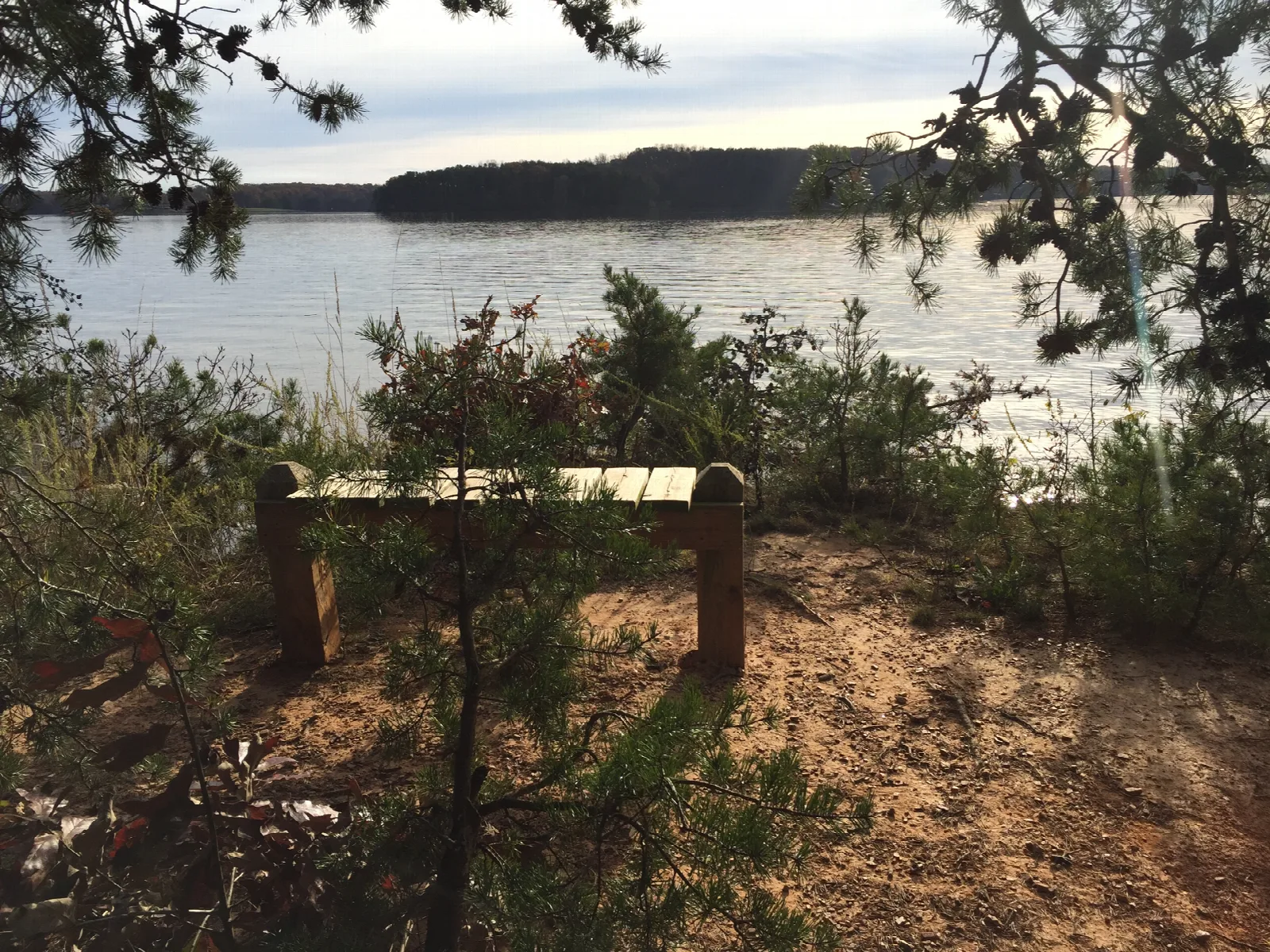 Lake and far shore seen through pine branches past a wooden bench