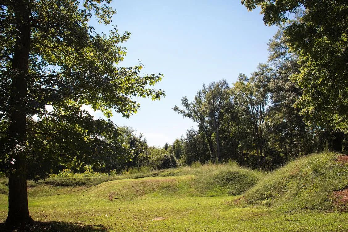 Grass-covered earthworks under shade trees on a sunny day