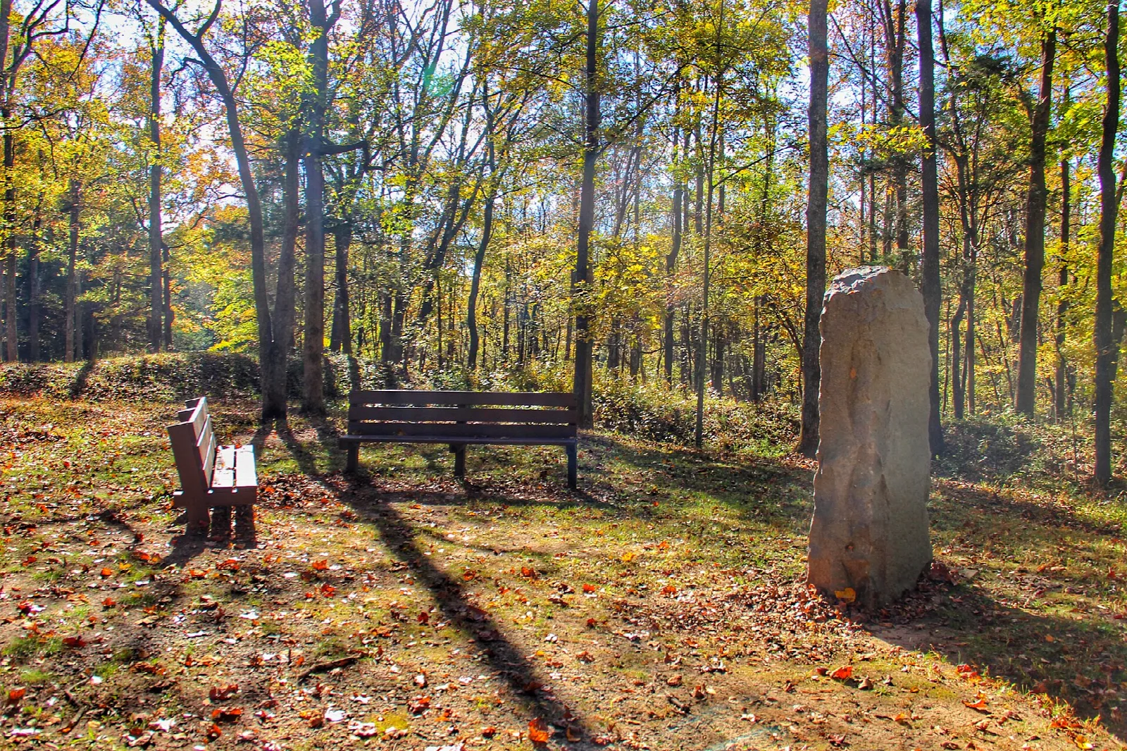 Fall woods with a bench and a stone marker beside a trail