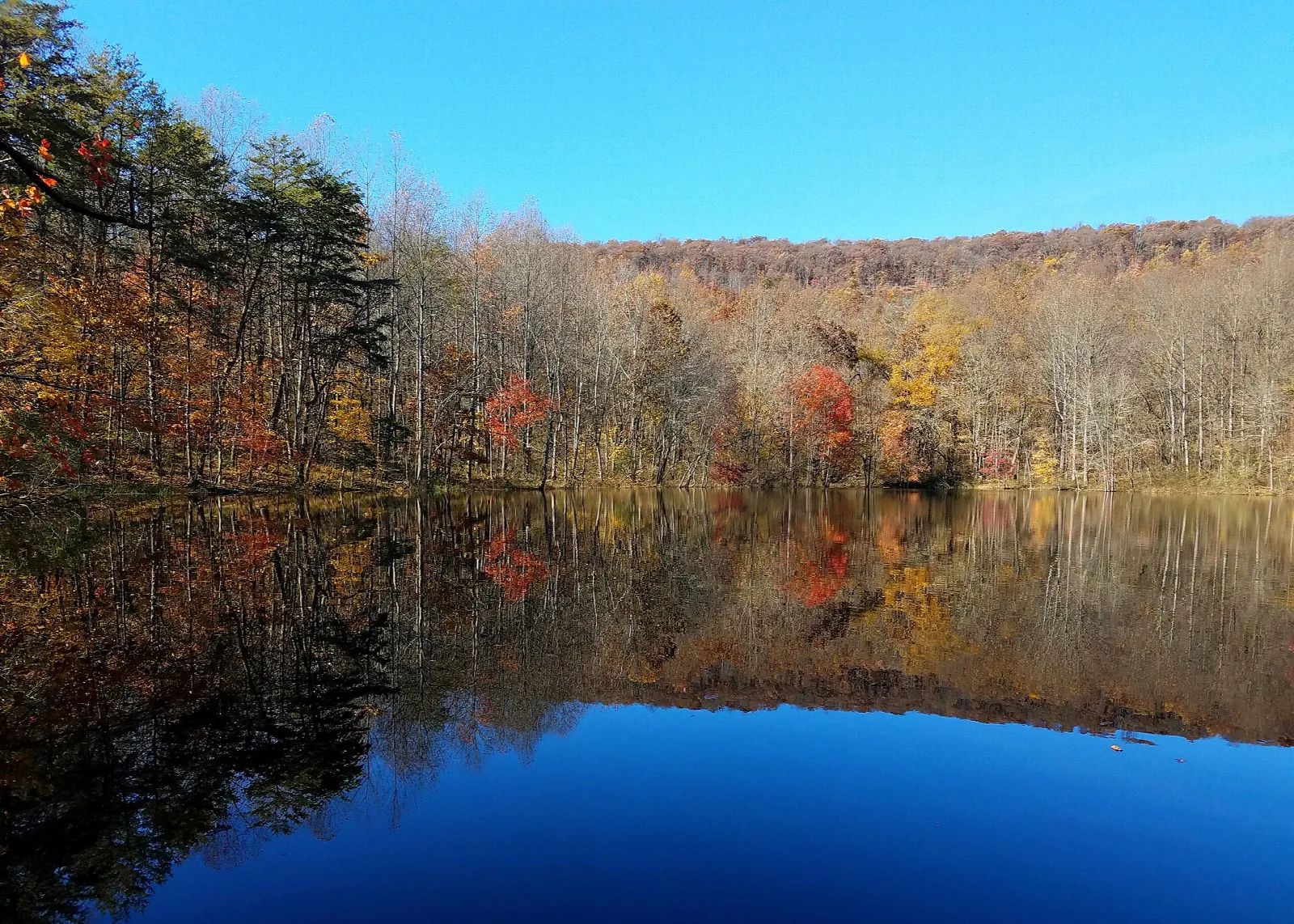 Still pond reflecting blue sky and fall-colored trees