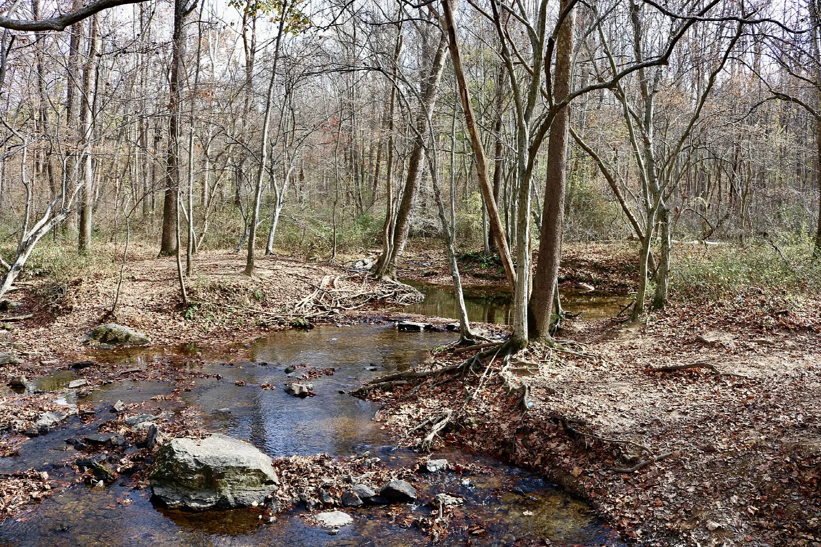Small rocky creek running through bare woods