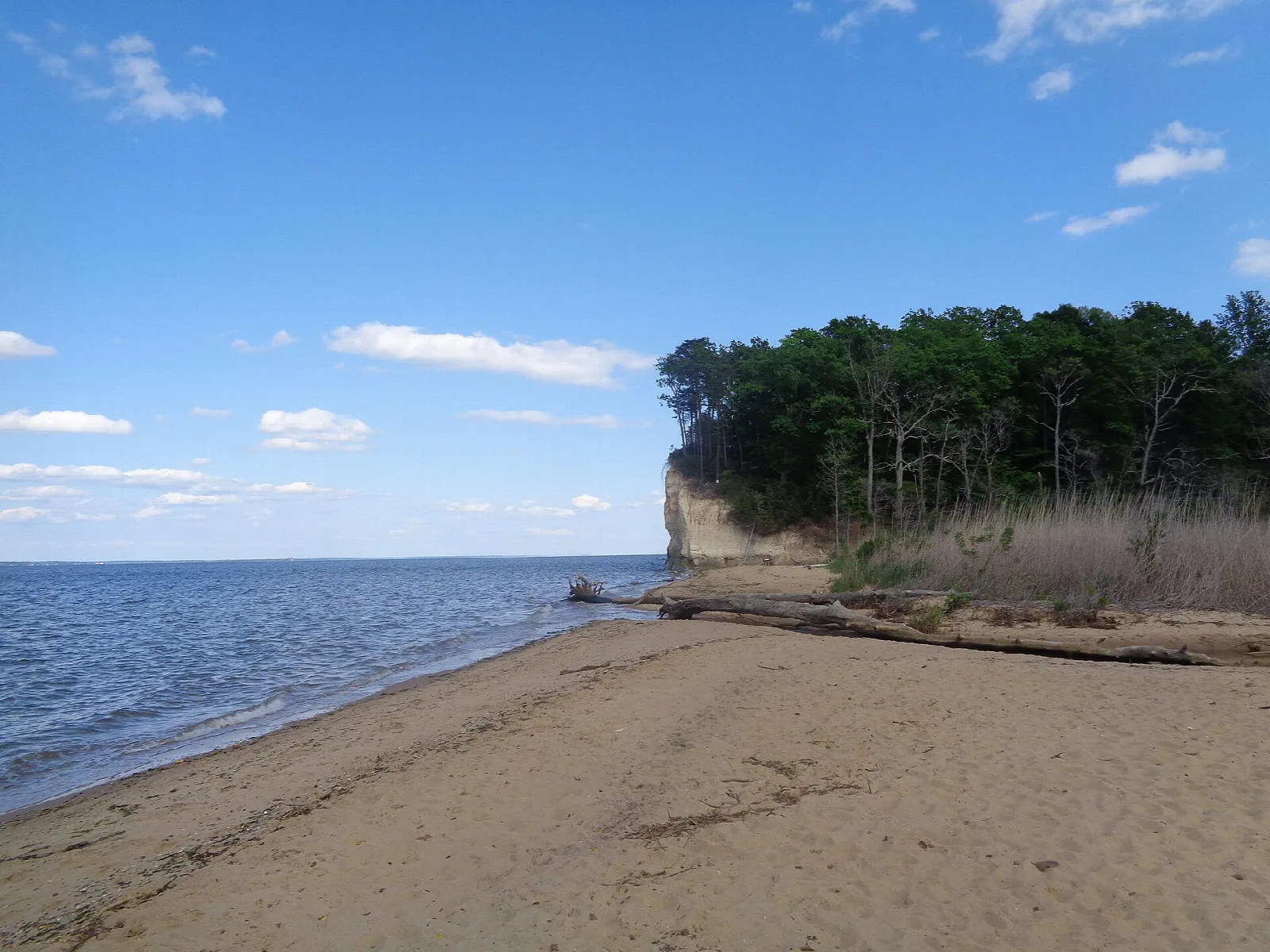 Sandy beach below a tree-topped cliff on a wide river