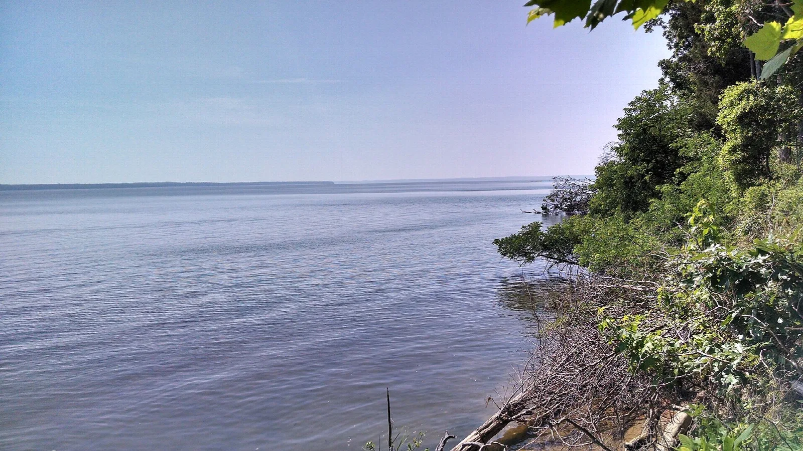 Calm river water with a wooded shoreline and hazy sky