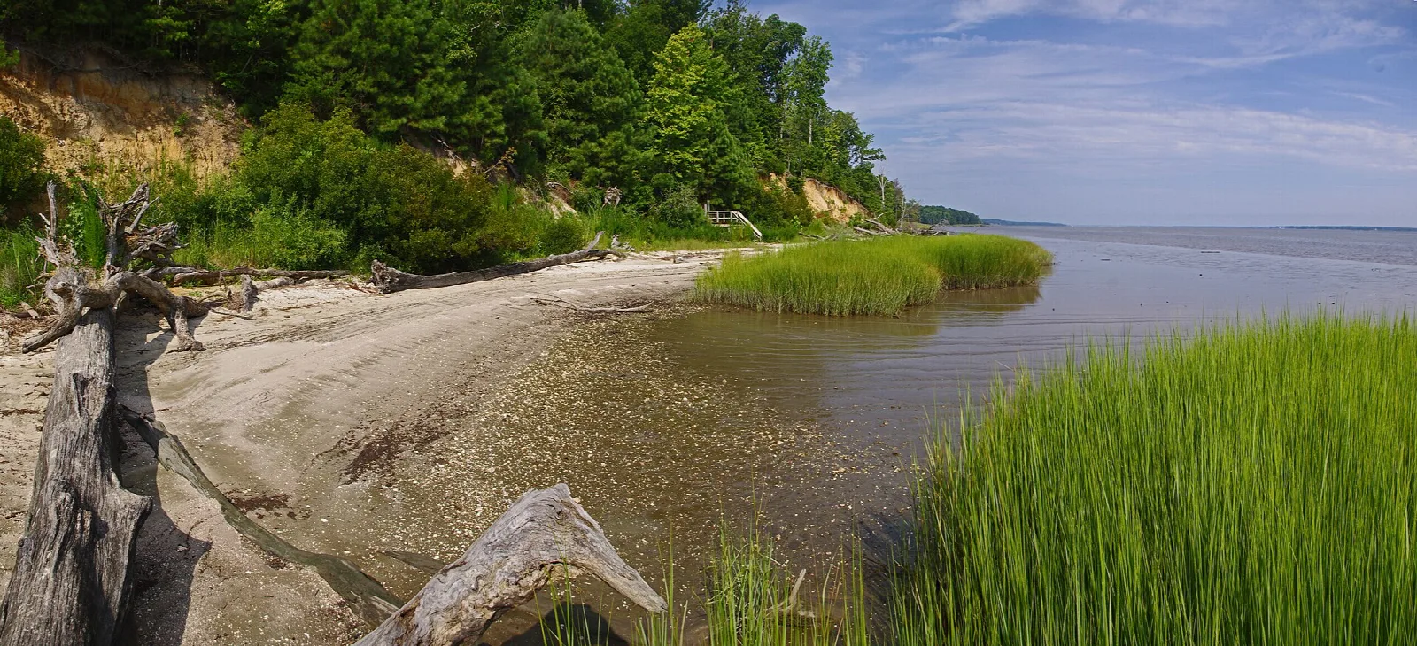 Sandy shore with marsh grass and wooded bluffs along a wide river